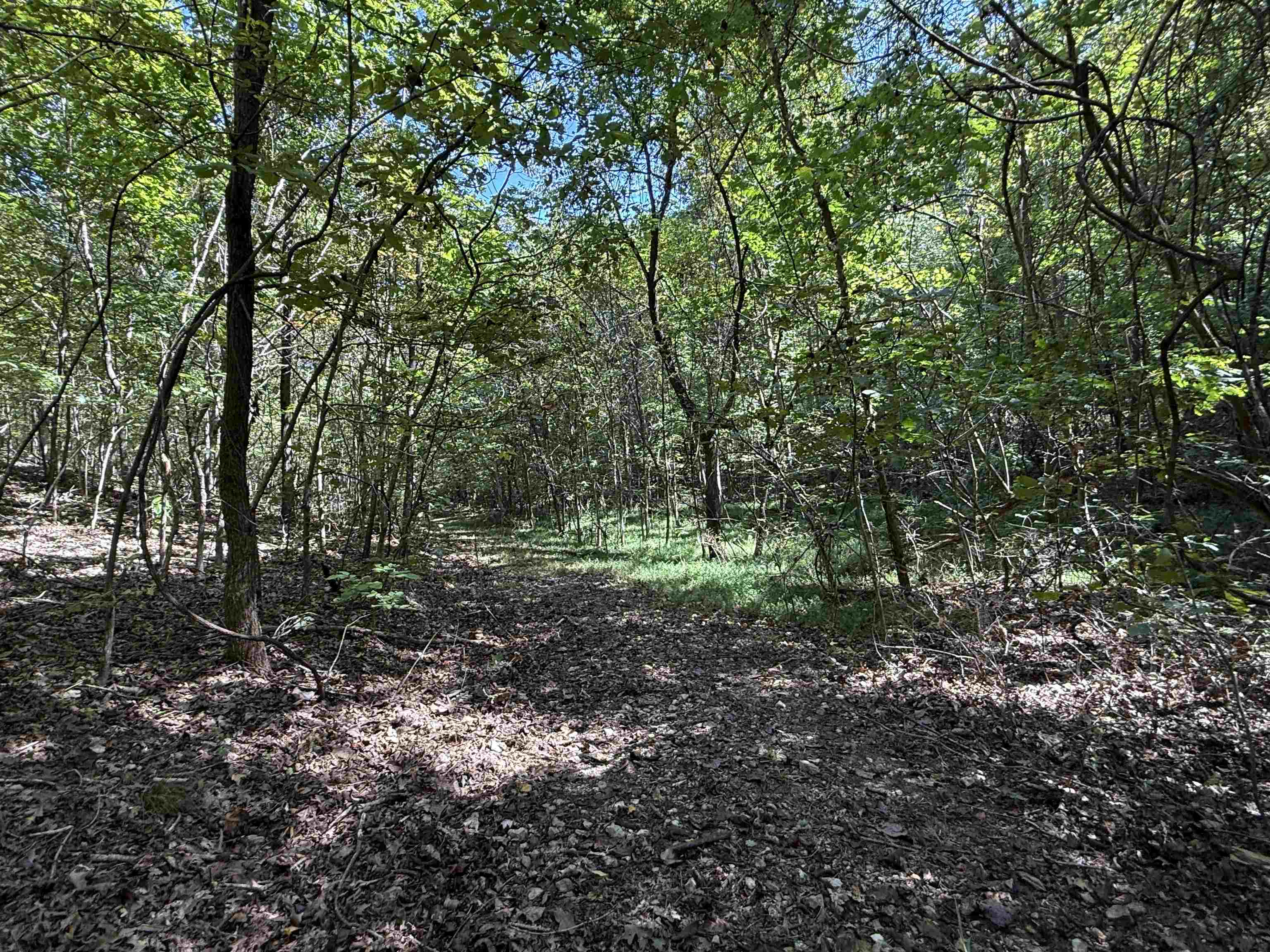 68A Lafferty Road  Mount Pleasant, AR