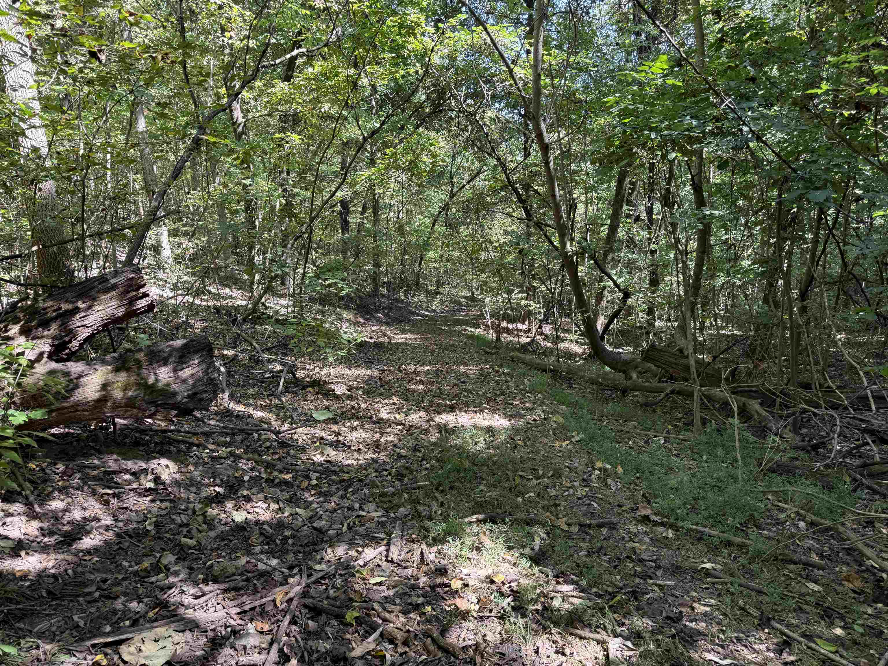 68A Lafferty Road  Mount Pleasant, AR