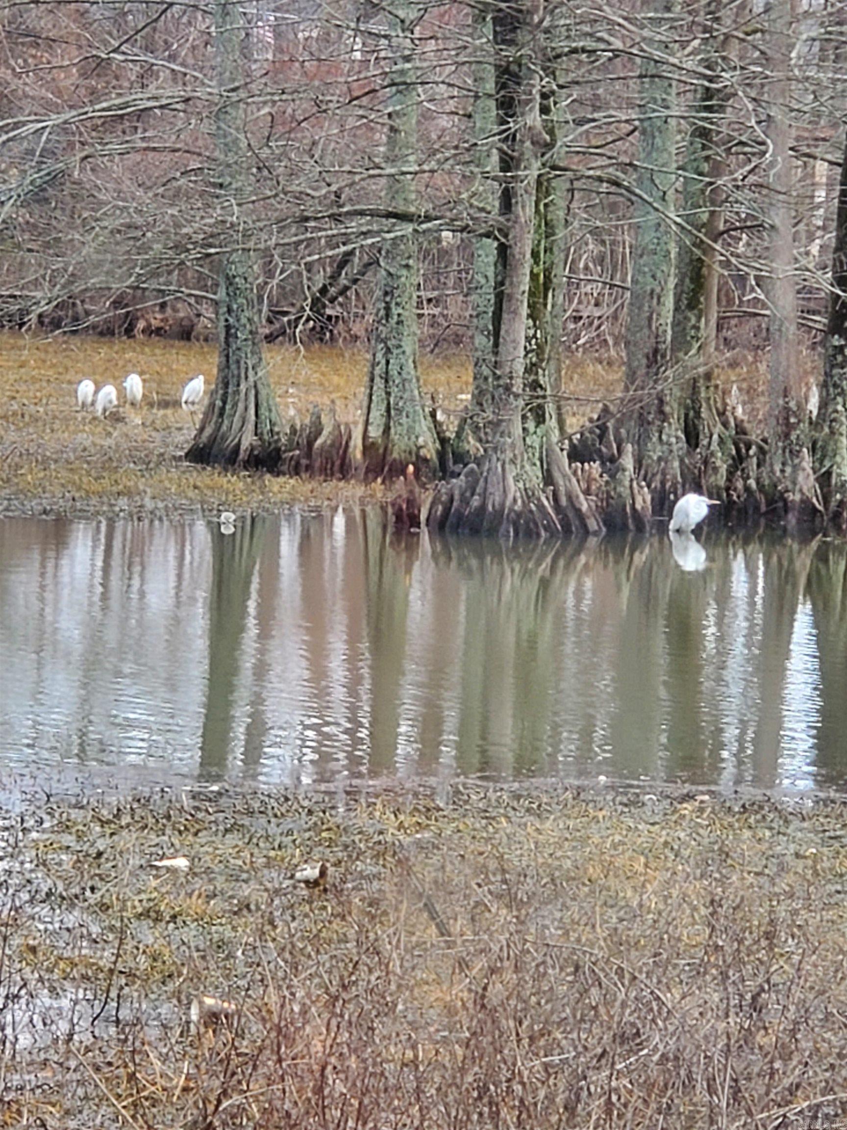 6 W Laramie  Sherwood, AR