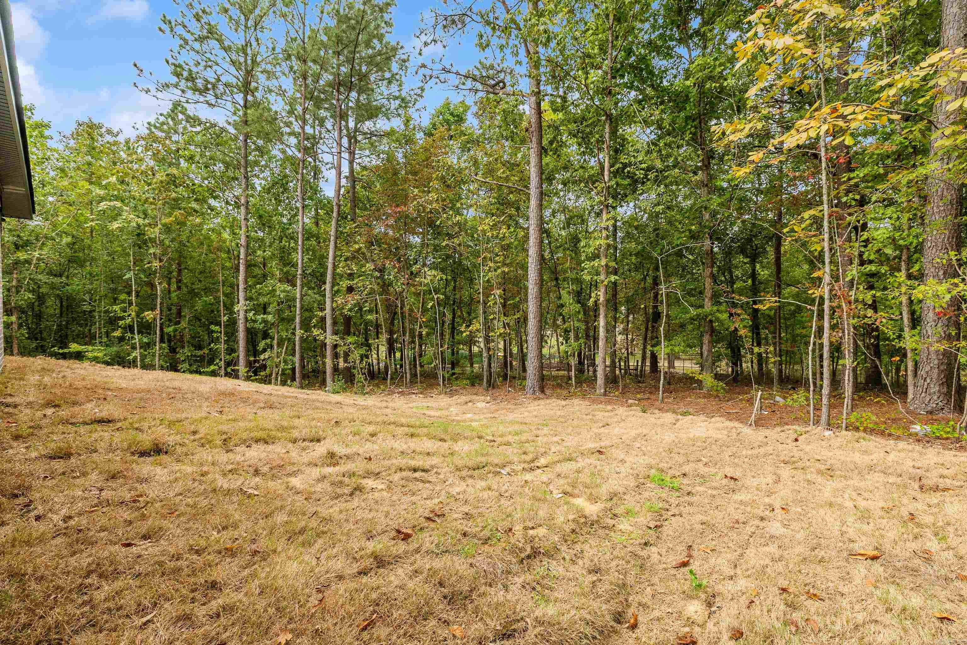 457 Judah  Alexander, AR