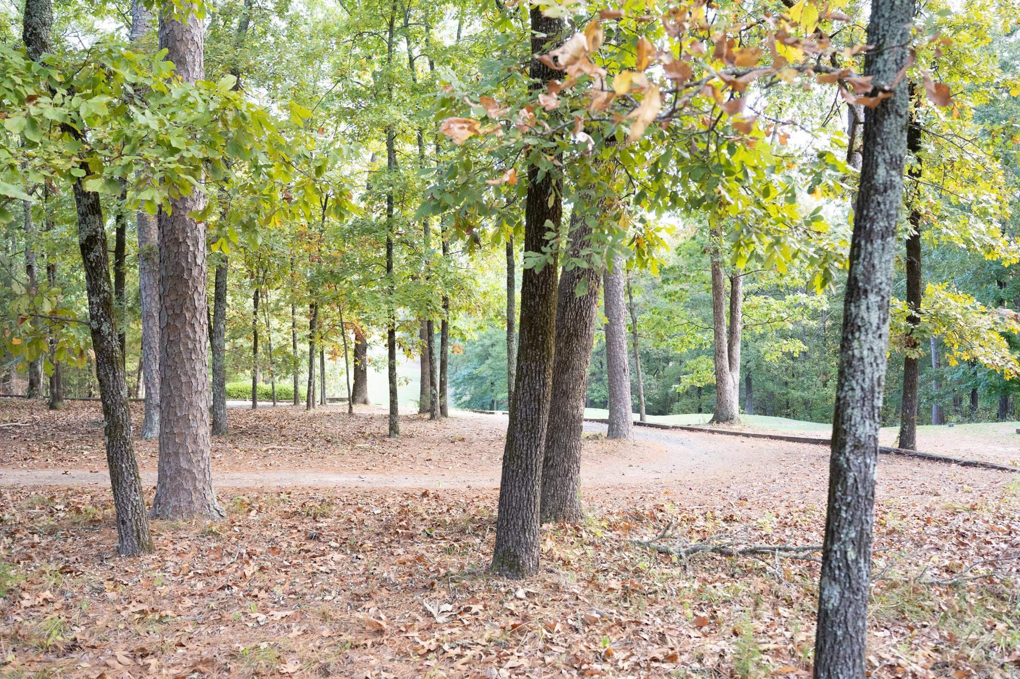 401 Castle Ridge Heights Fairfield Bay, AR 72088-0000