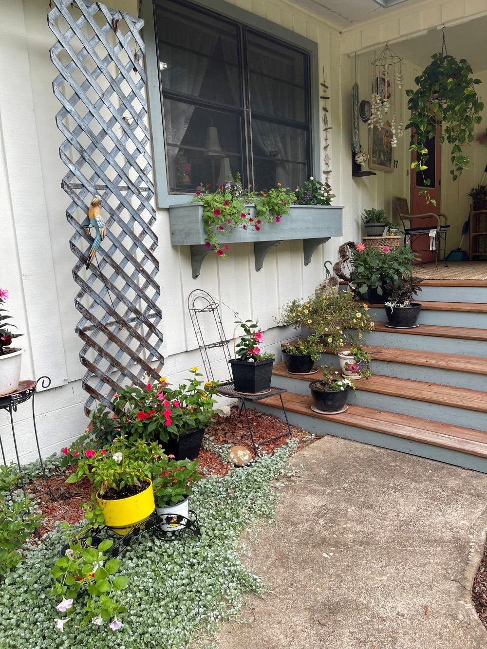 37 Keno  Cherokee Village, AR