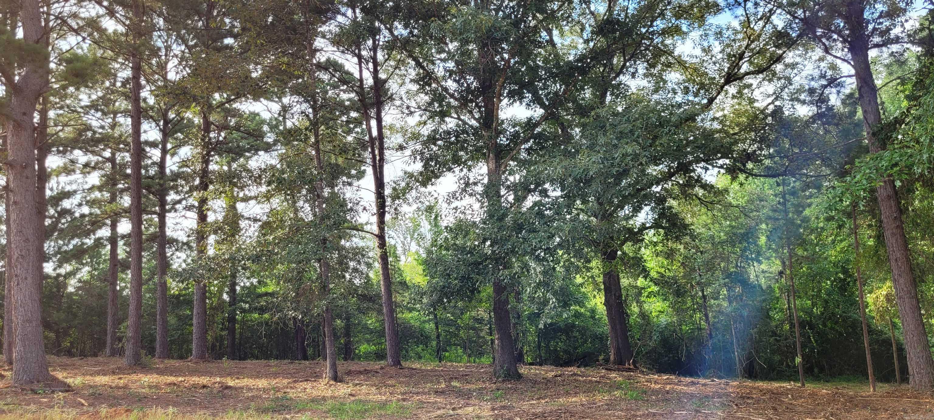 141 Leopard  De Queen, AR