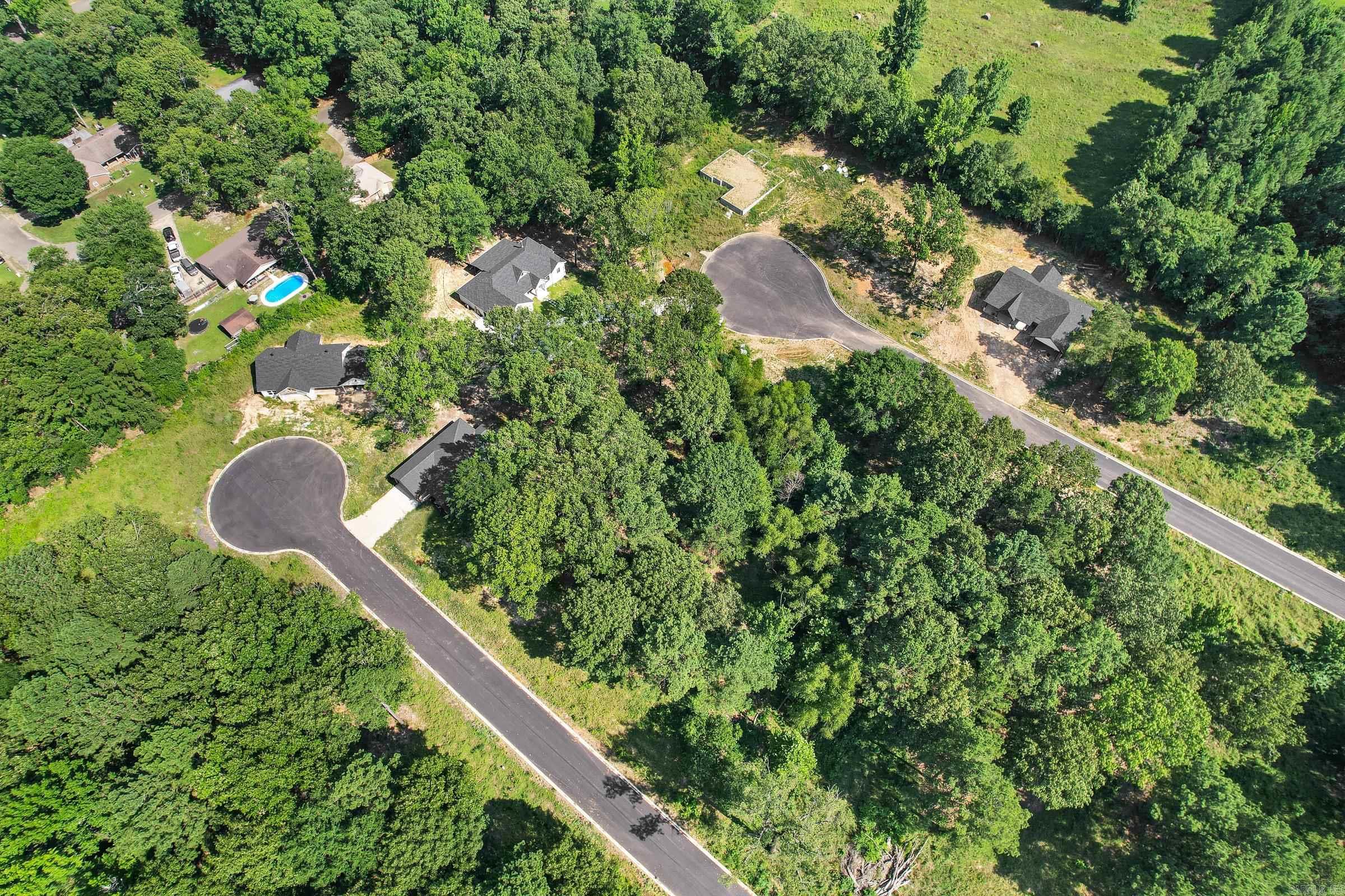 141 Leopard  De Queen, AR