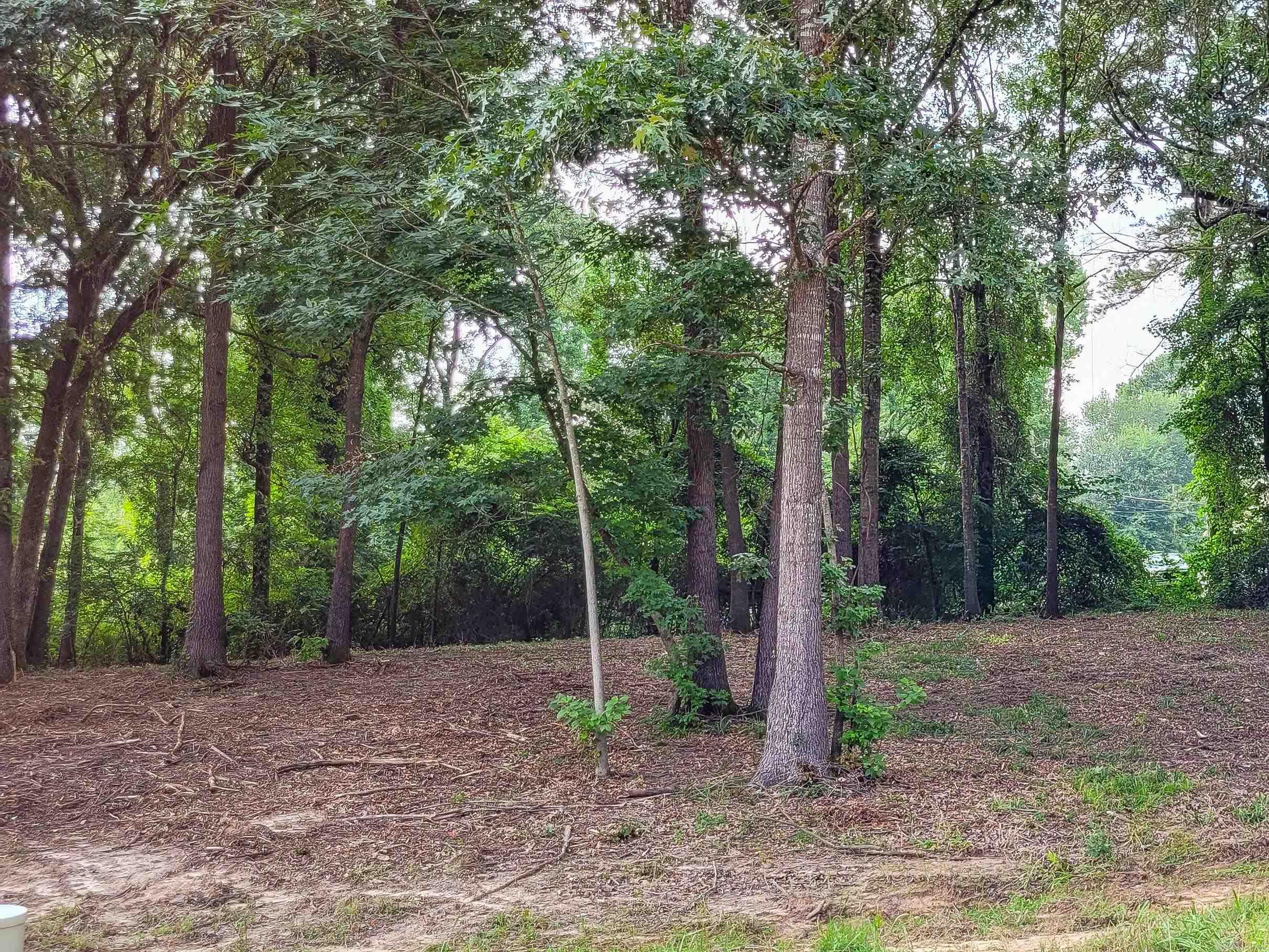 145 Leopard  De Queen, AR