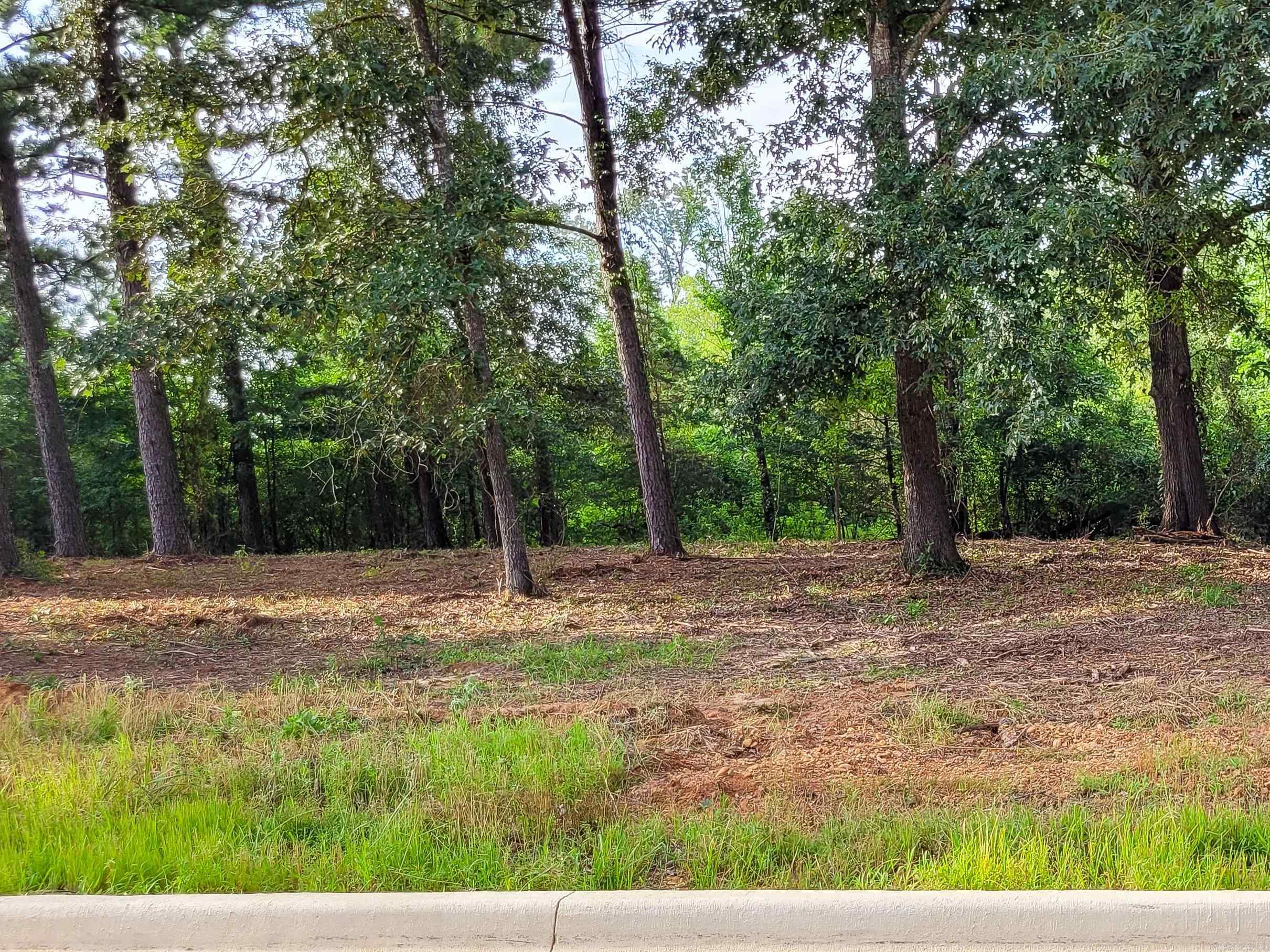 145 Leopard  De Queen, AR