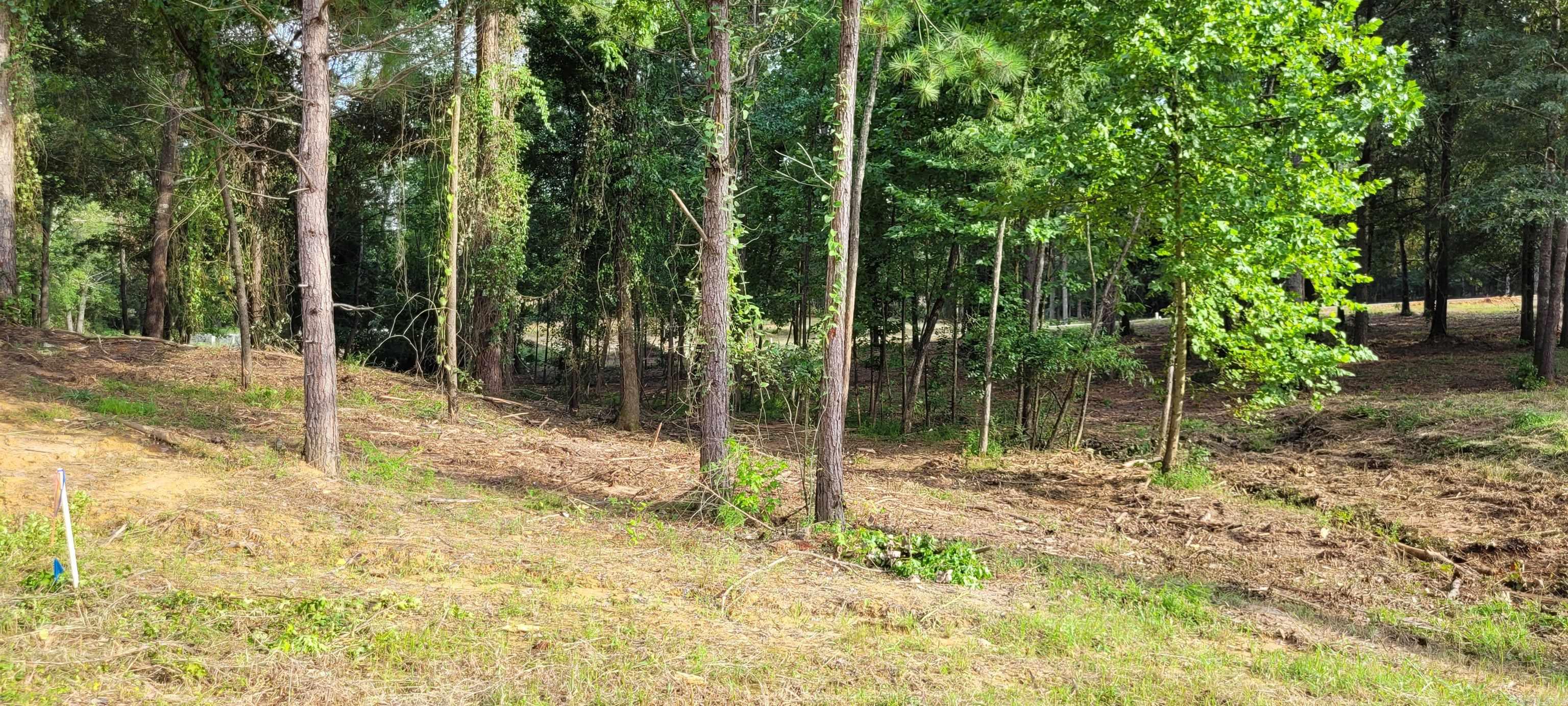 145 Leopard  De Queen, AR
