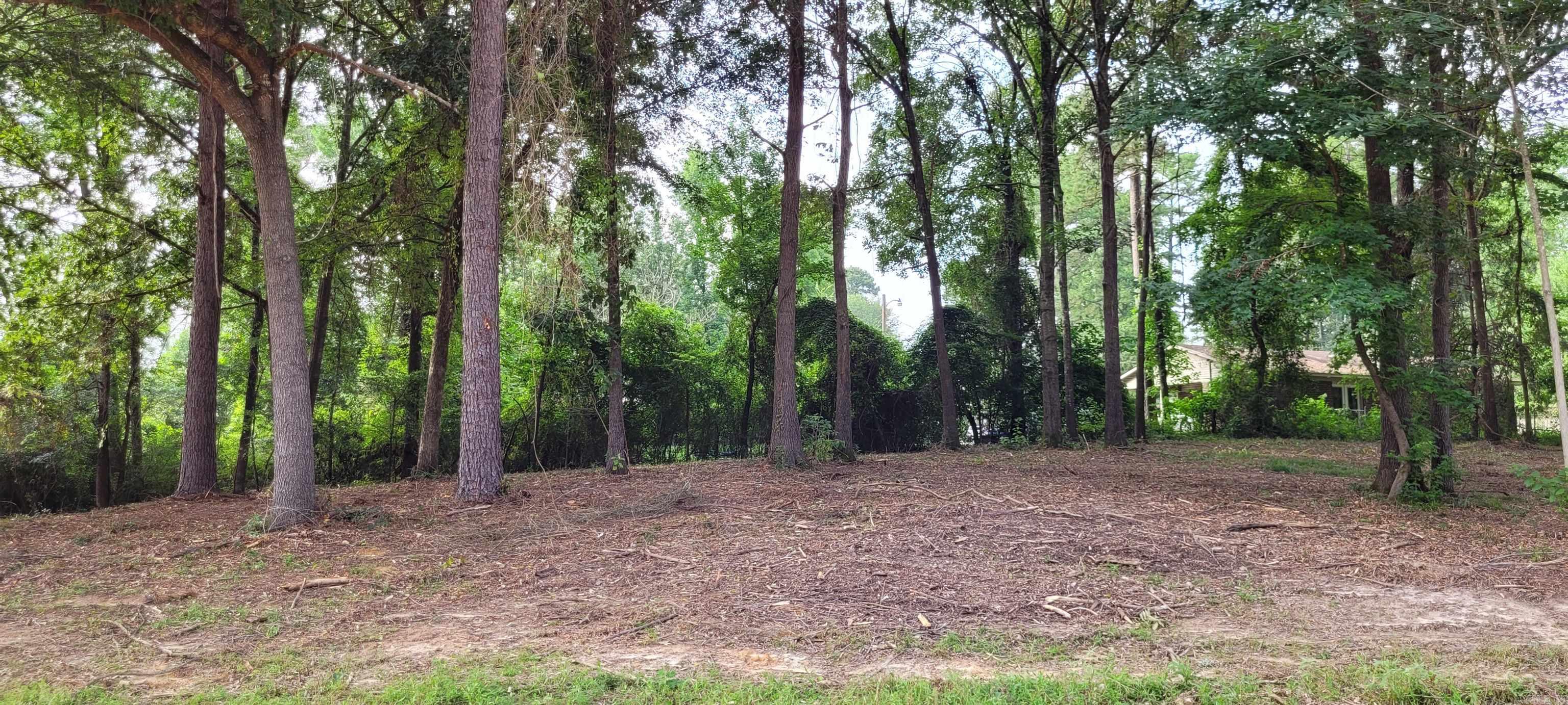 145 Leopard  De Queen, AR