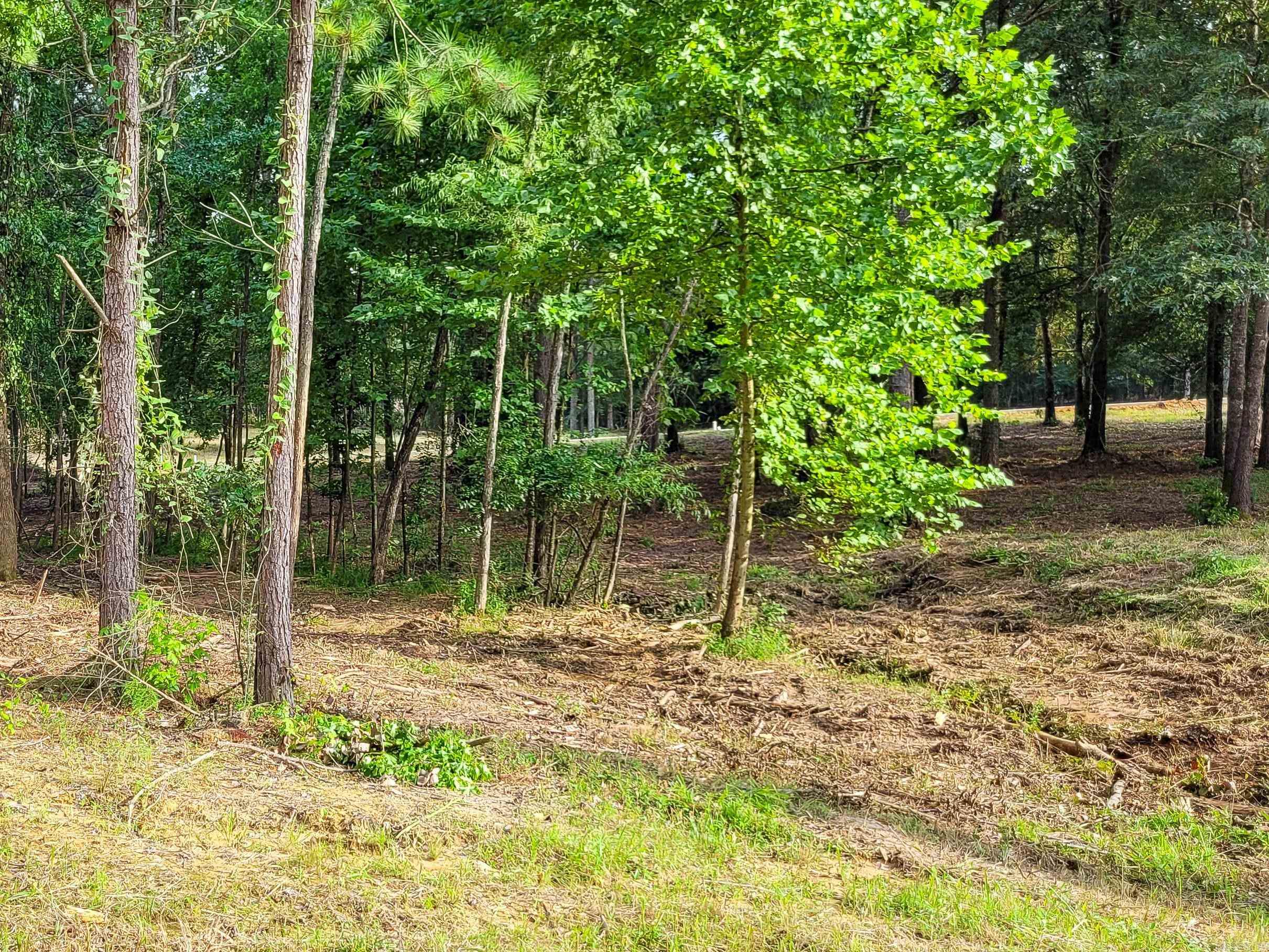 138 Leopard  De Queen, AR