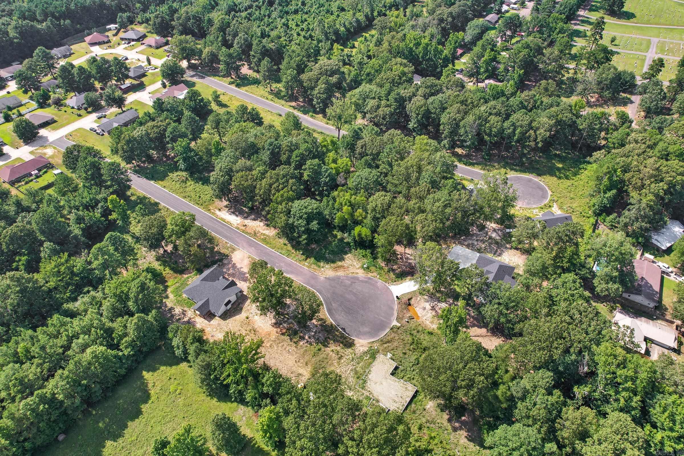 138 Leopard  De Queen, AR