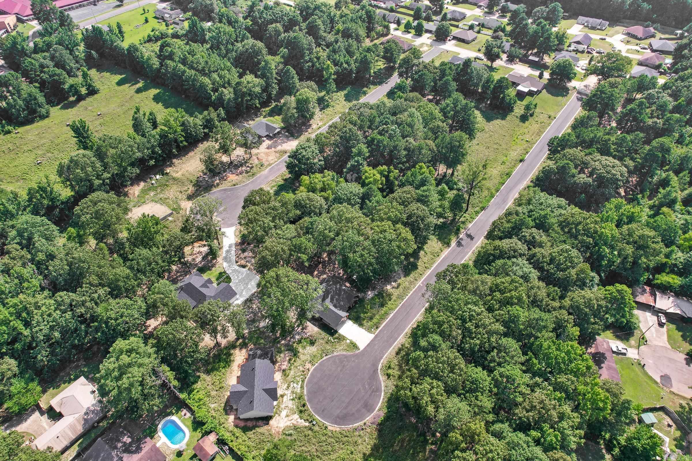138 Leopard  De Queen, AR