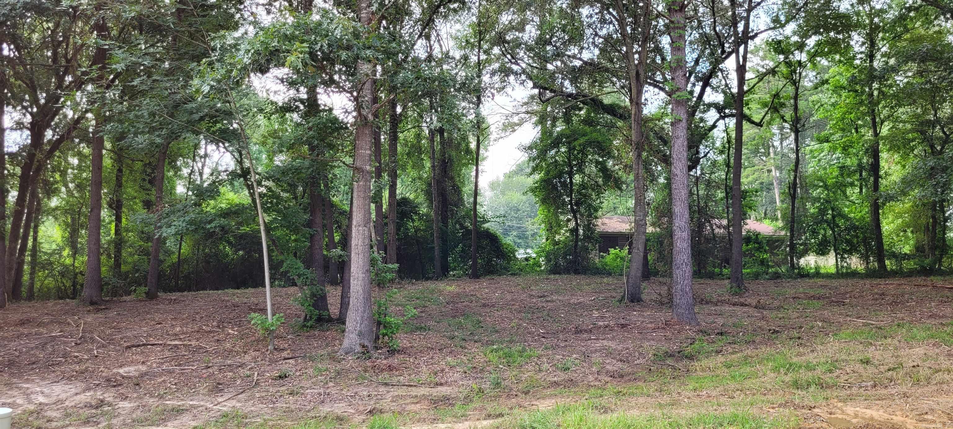 142 Leopard  De Queen, AR