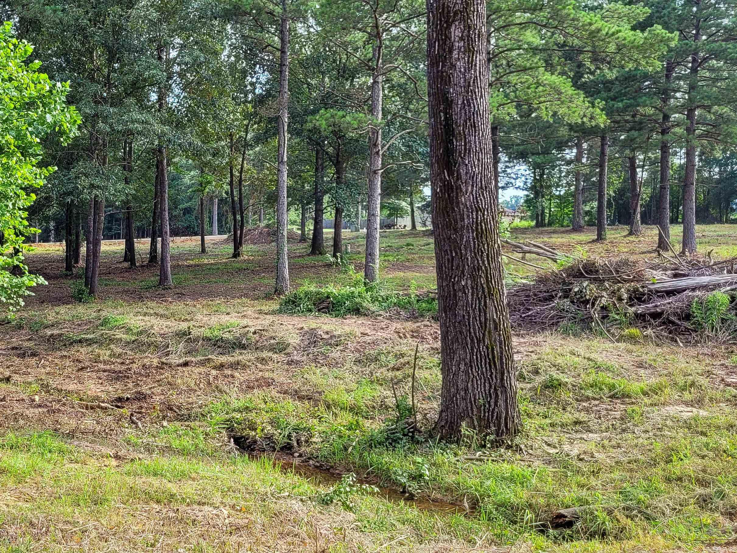 107 JT  De Queen, AR