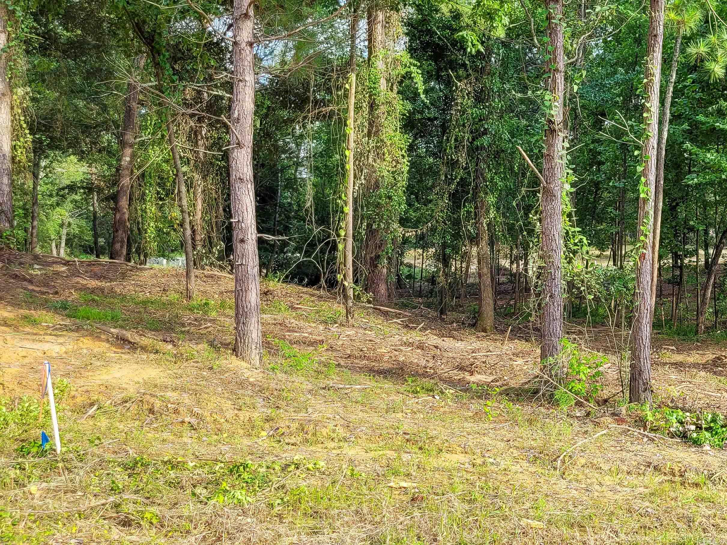 107 JT  De Queen, AR