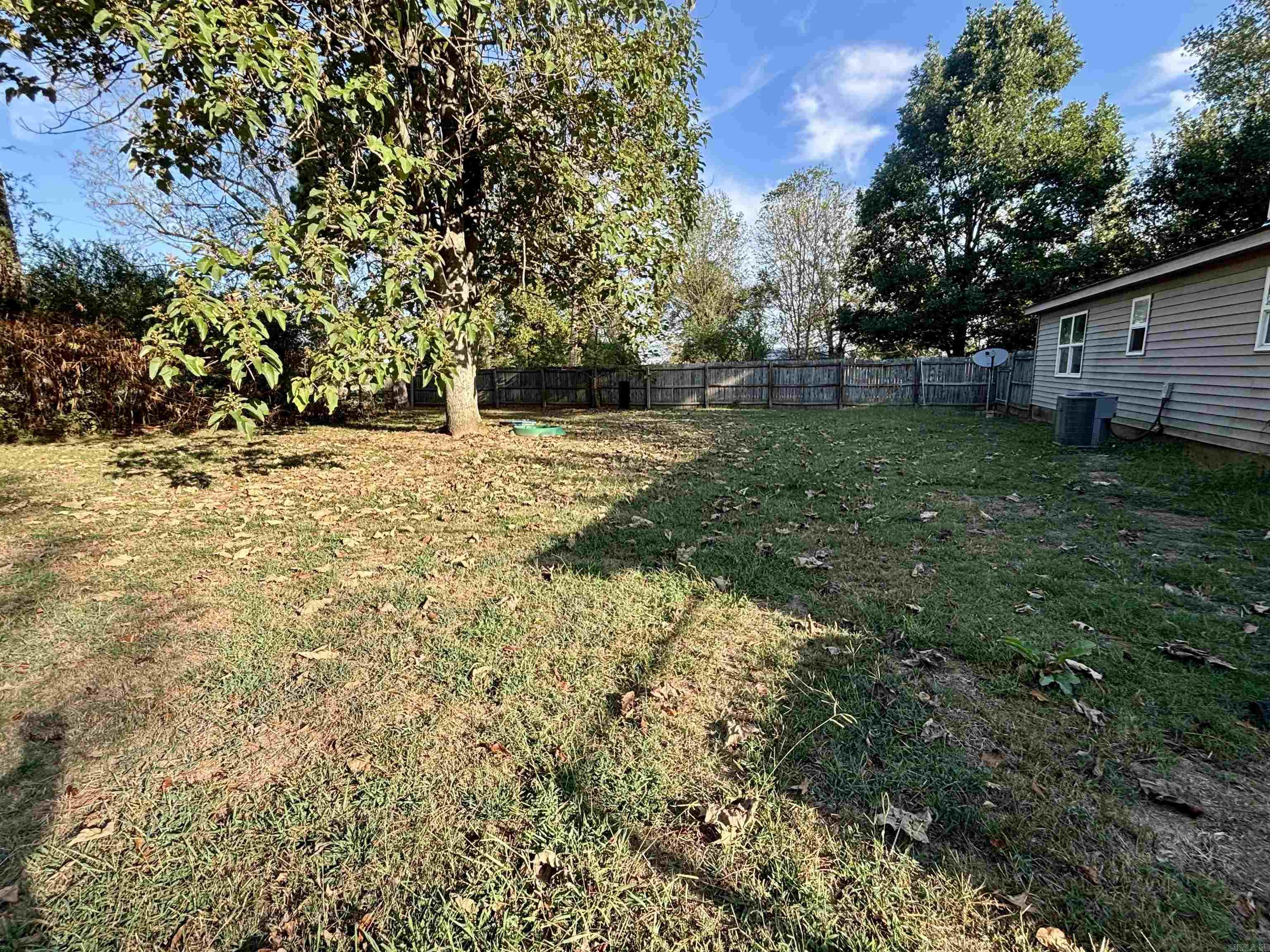 102 Hankins  Pleasant Plains, AR