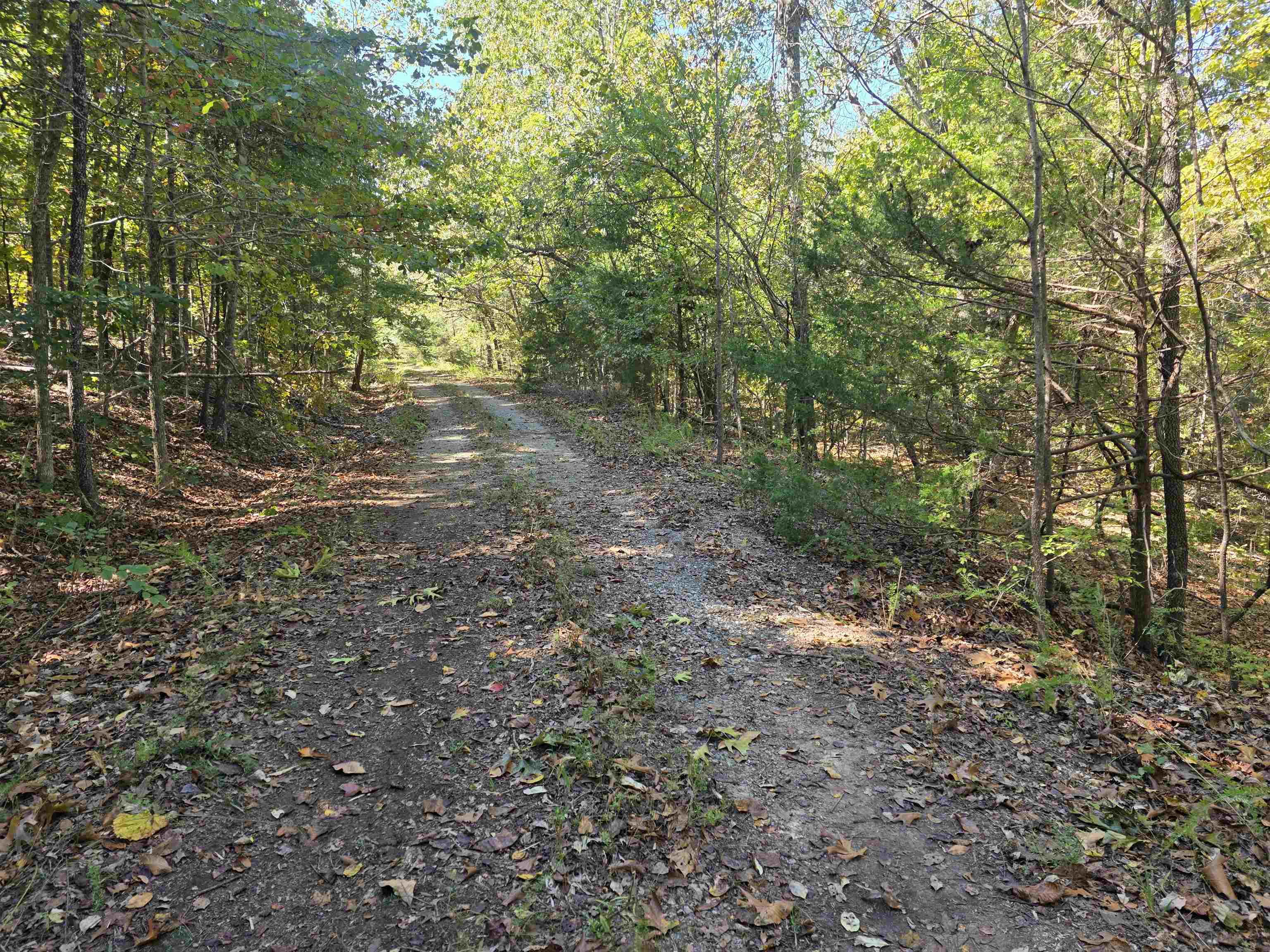 L10B4 Clatsop  Cherokee Village, AR