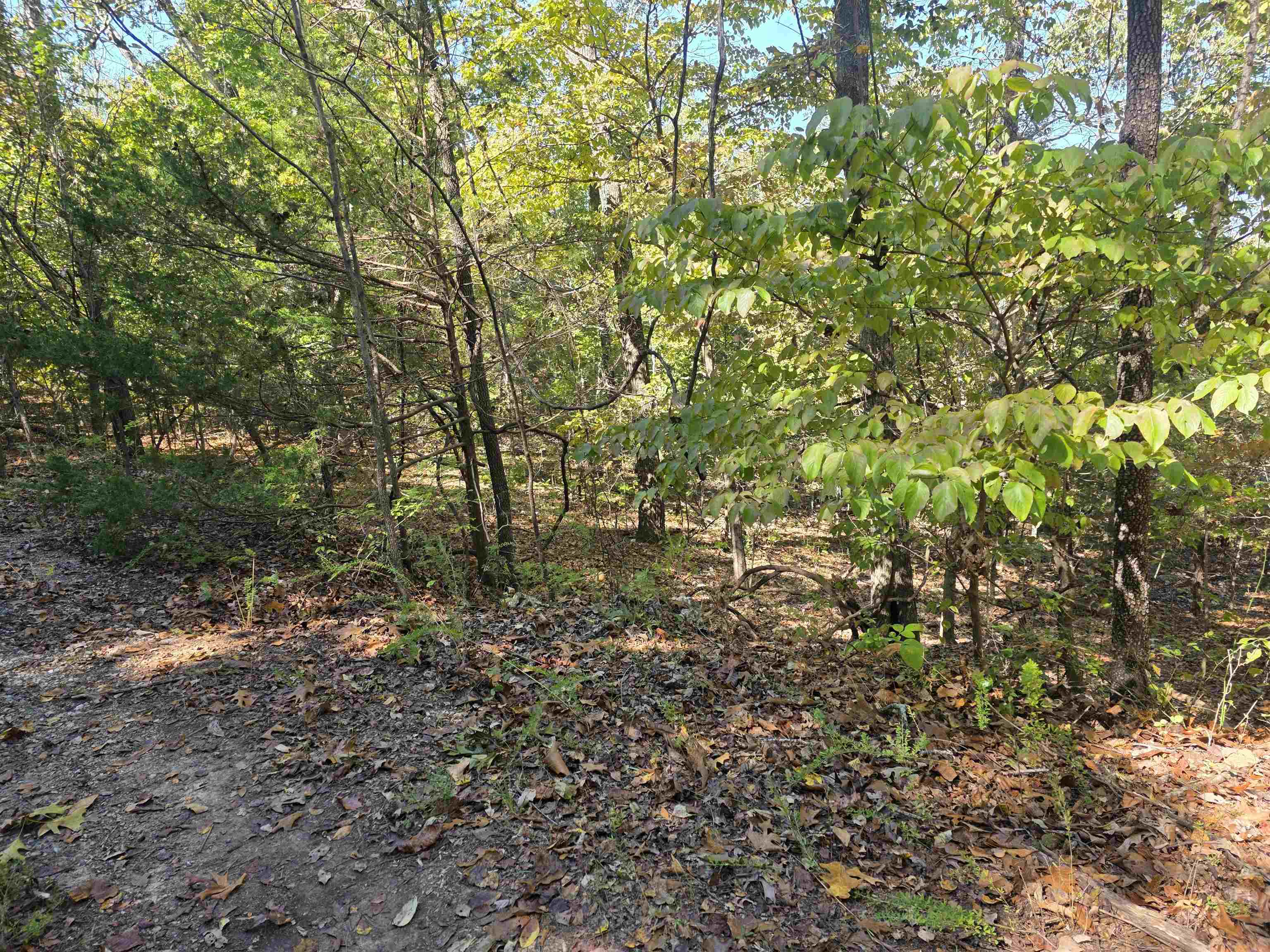 L10B4 Clatsop  Cherokee Village, AR