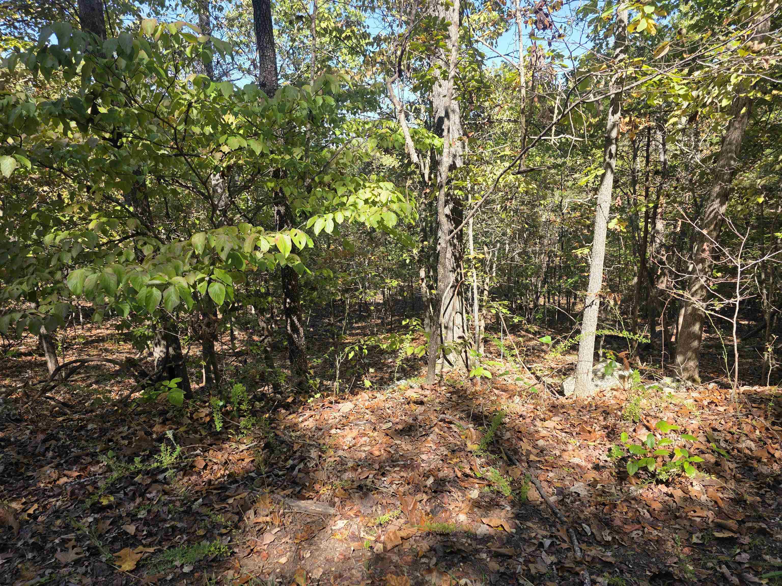 L10B4 Clatsop  Cherokee Village, AR