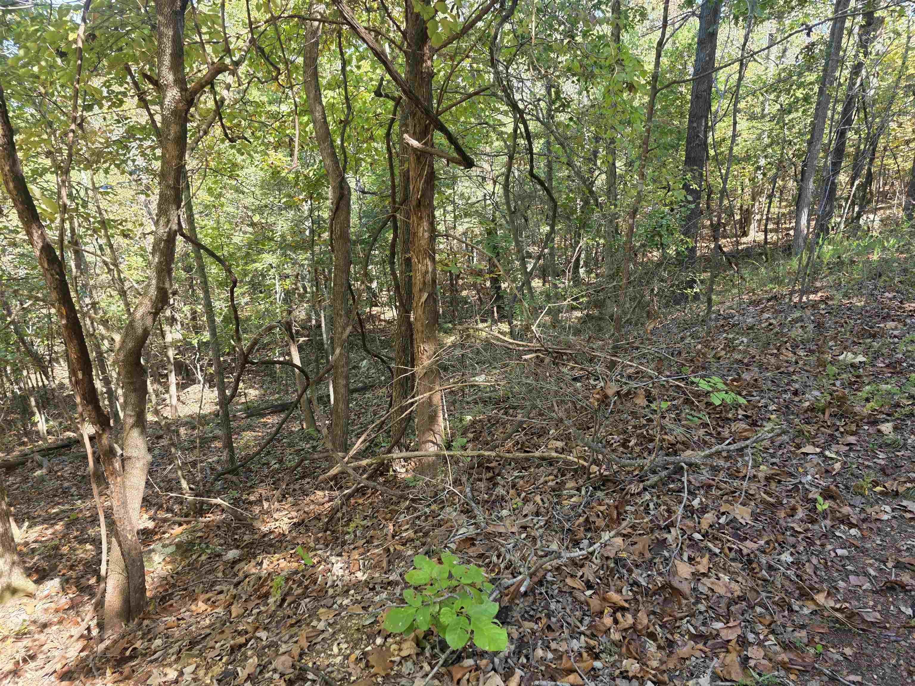 L10B4 Clatsop  Cherokee Village, AR