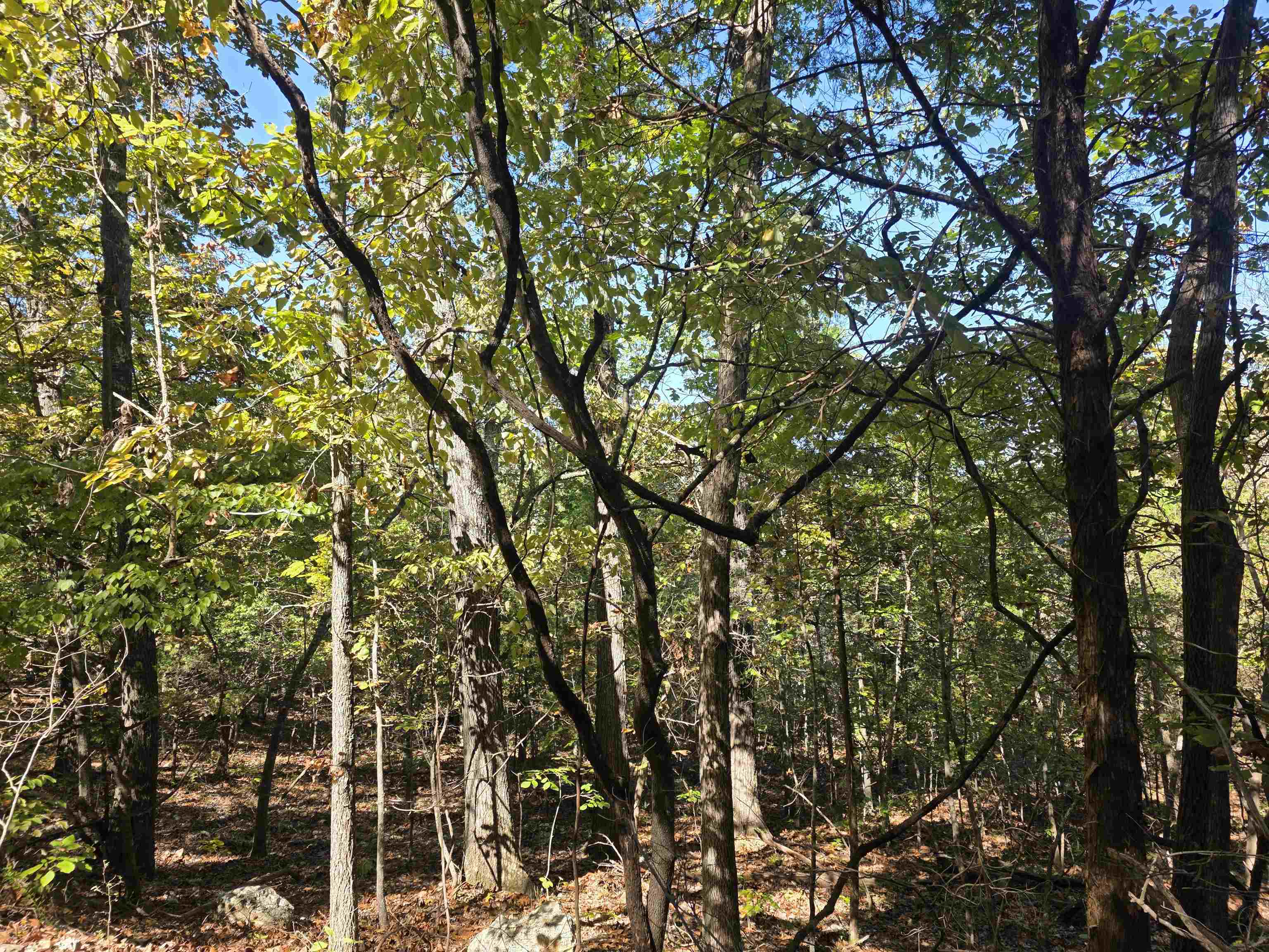 L10B4 Clatsop  Cherokee Village, AR