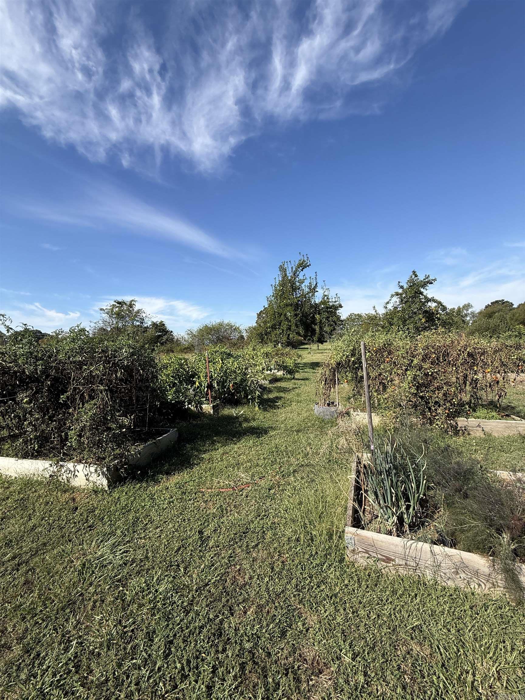 1041 Campbell Road Leslie, AR 72645