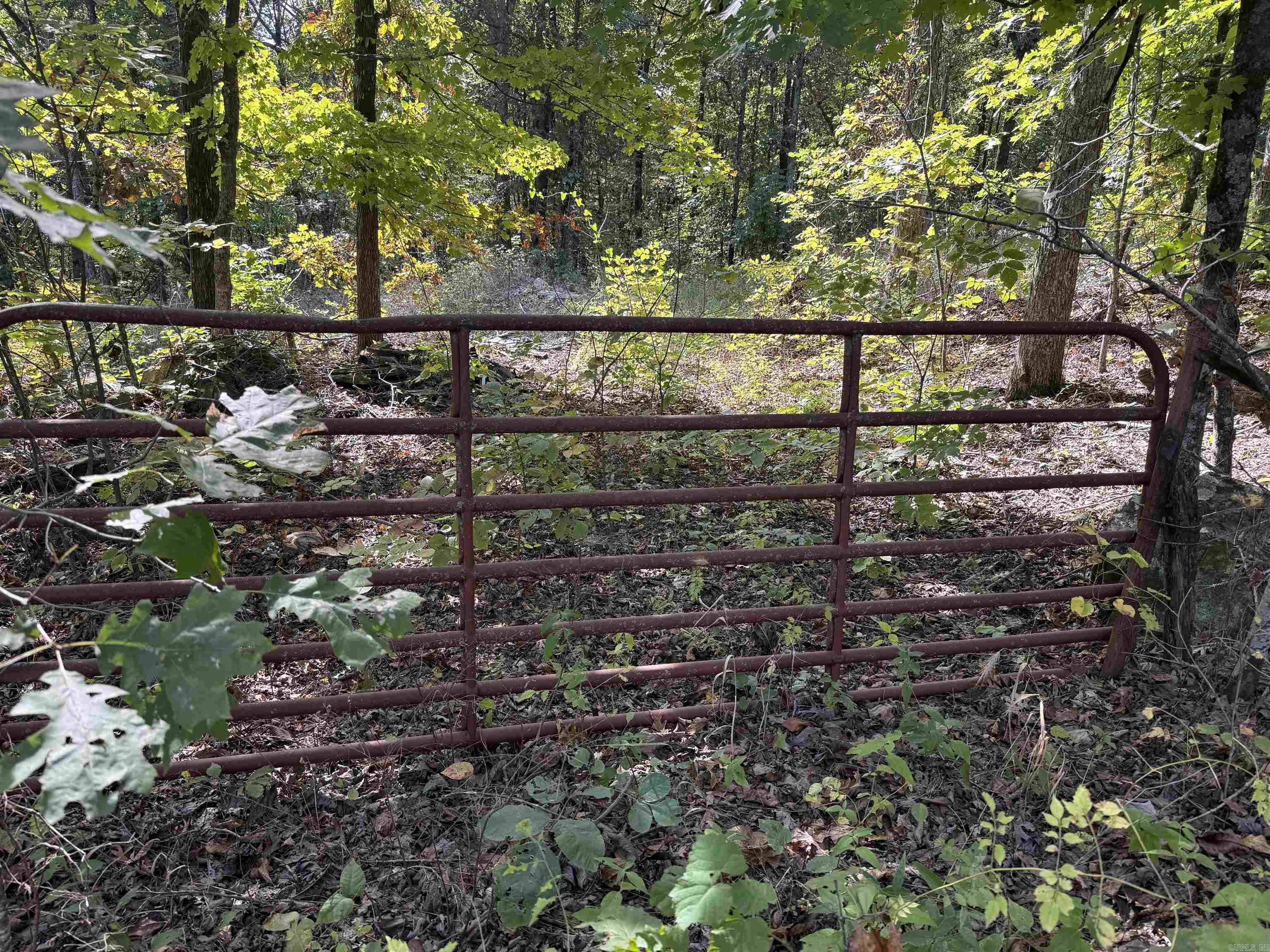 1041 Campbell Road Leslie, AR 72645