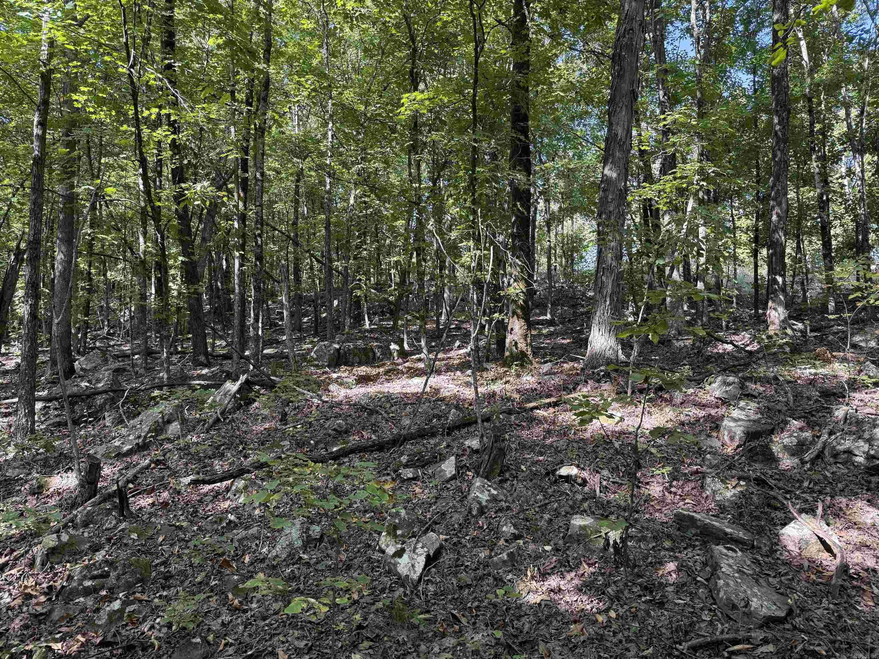 1041 Campbell Road Leslie, AR 72645