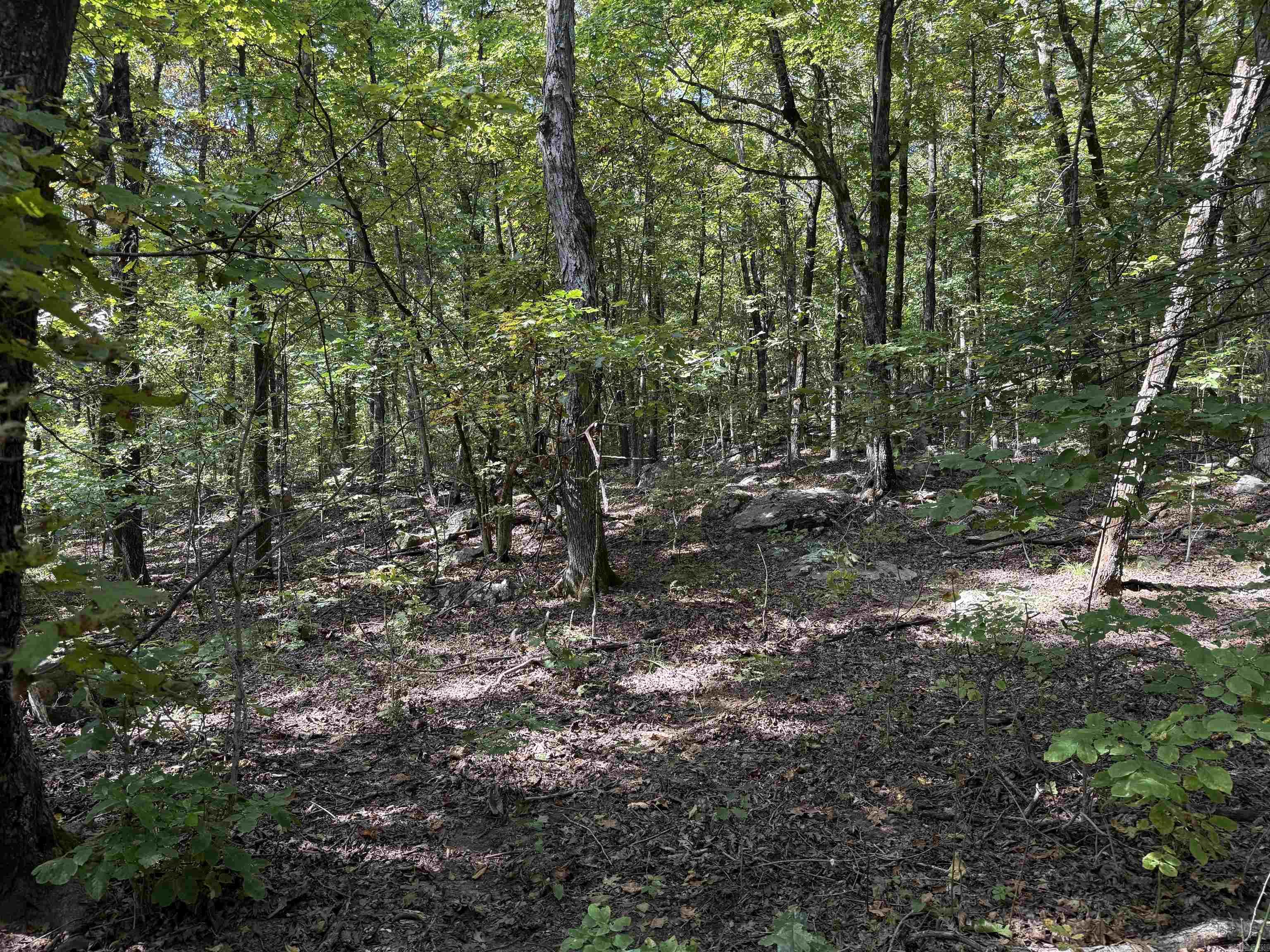 1041 Campbell Road Leslie, AR 72645