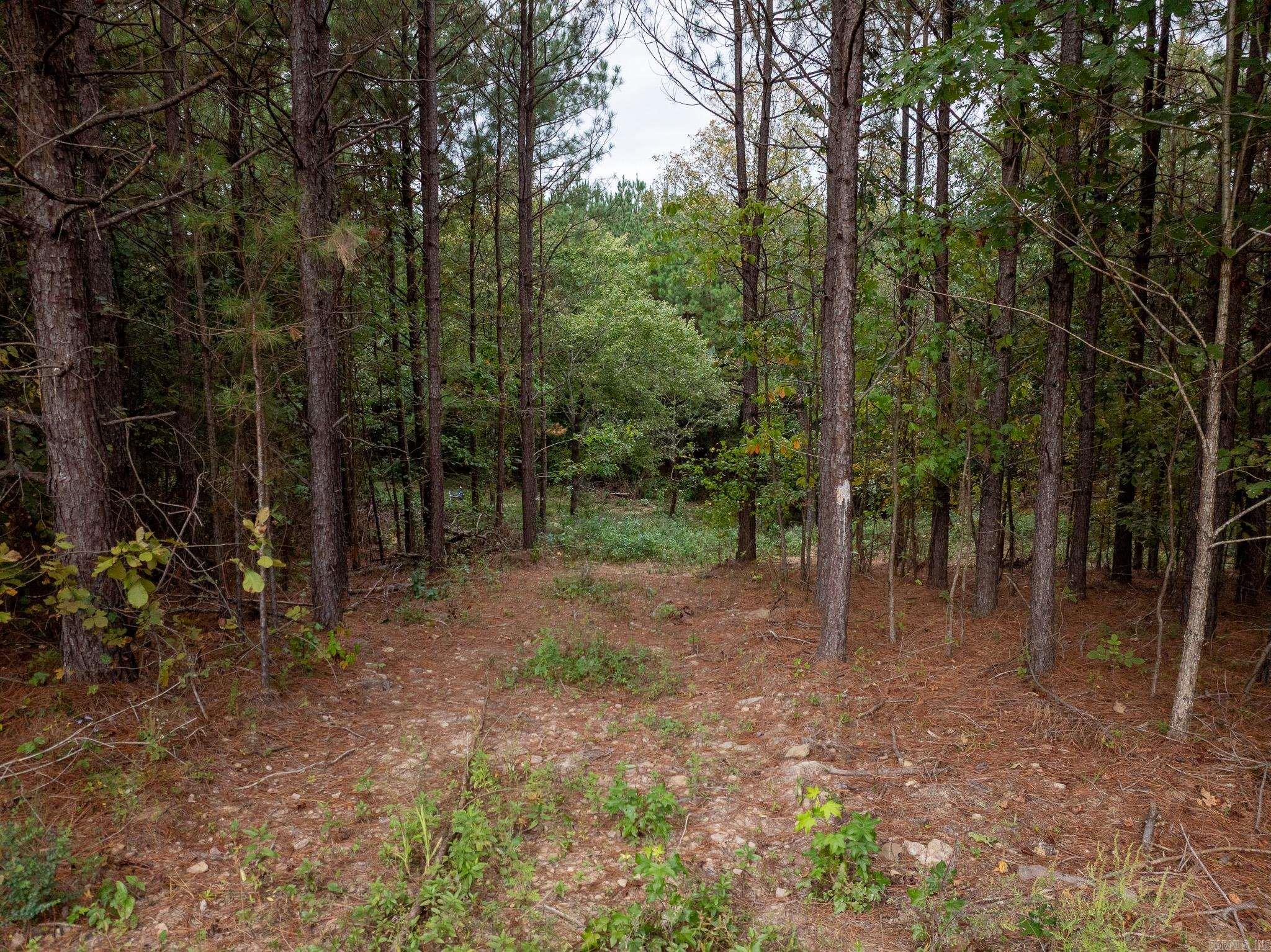 000 Goff Rd. via easement  Quitman, AR