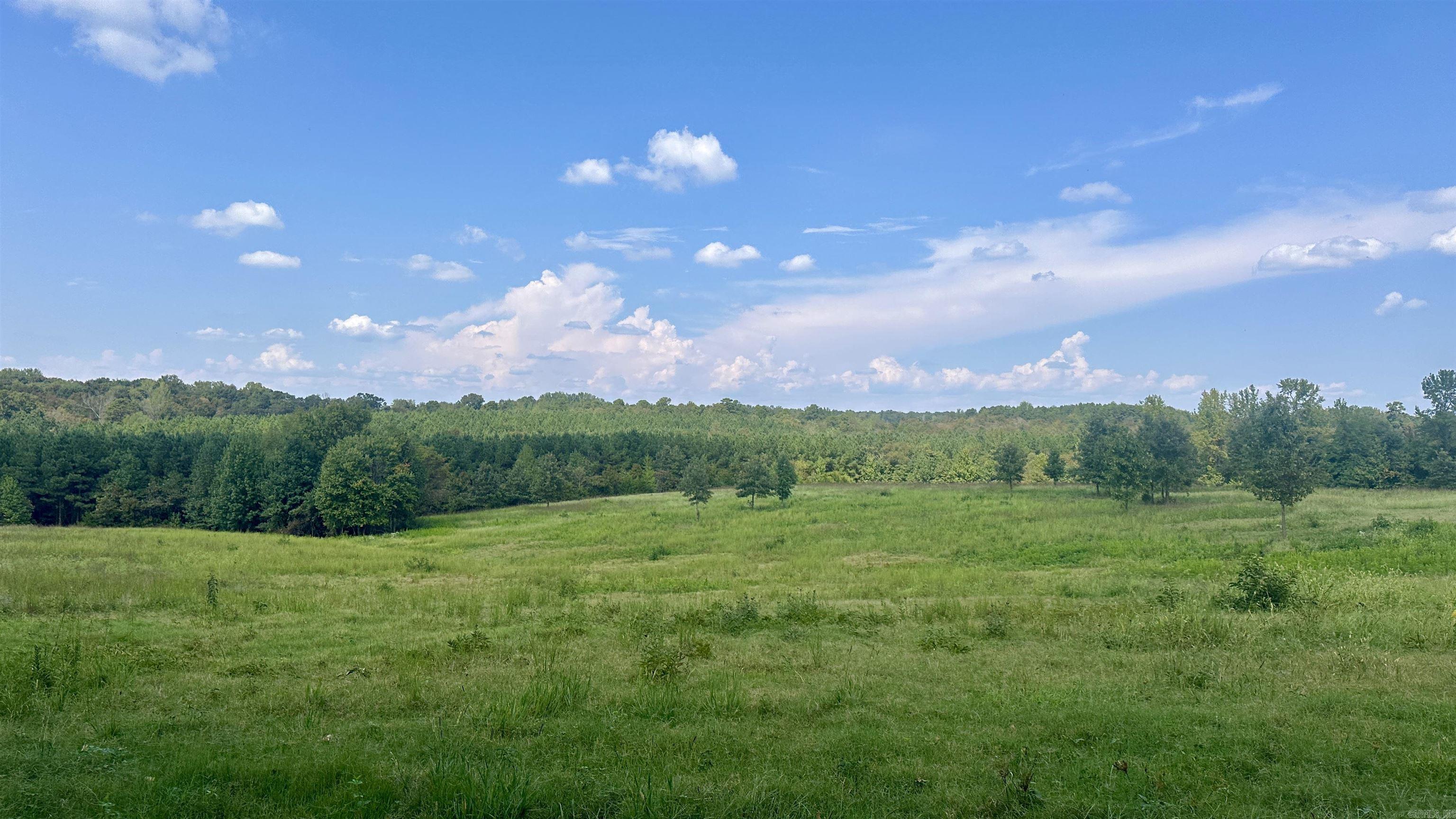 000 Goff Rd. via easement  Quitman, AR