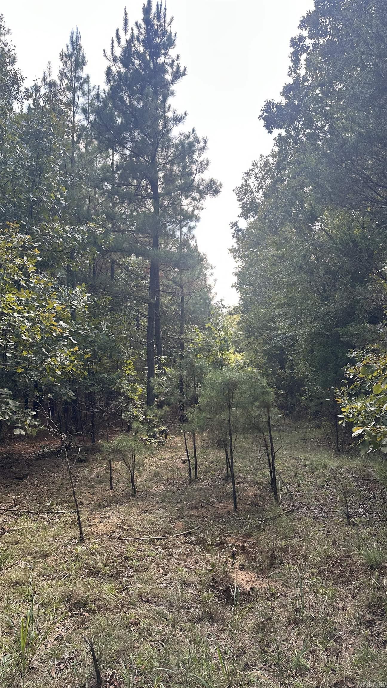 000 Goff Rd. via easement  Quitman, AR