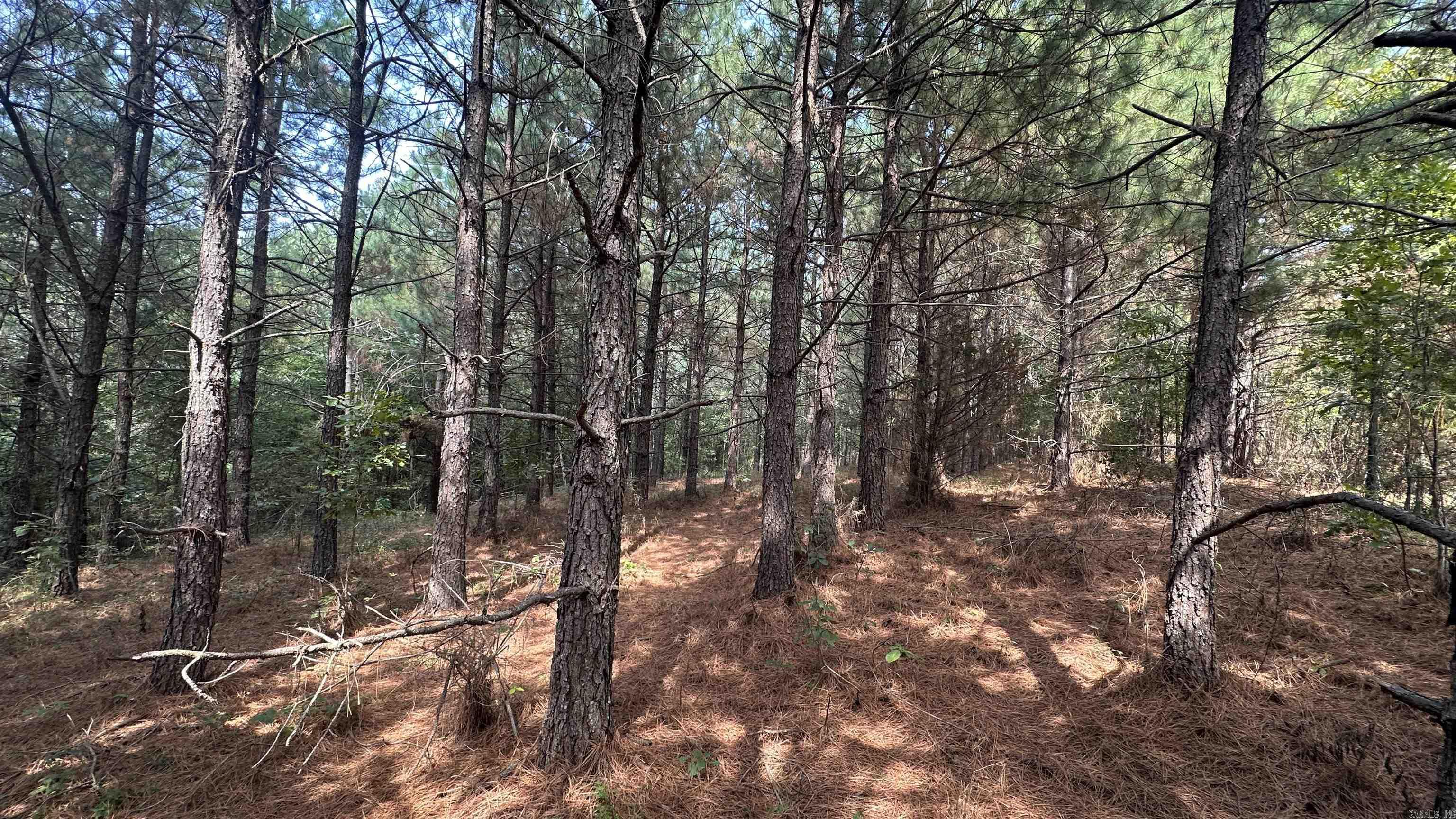 000 Goff Rd. via easement  Quitman, AR