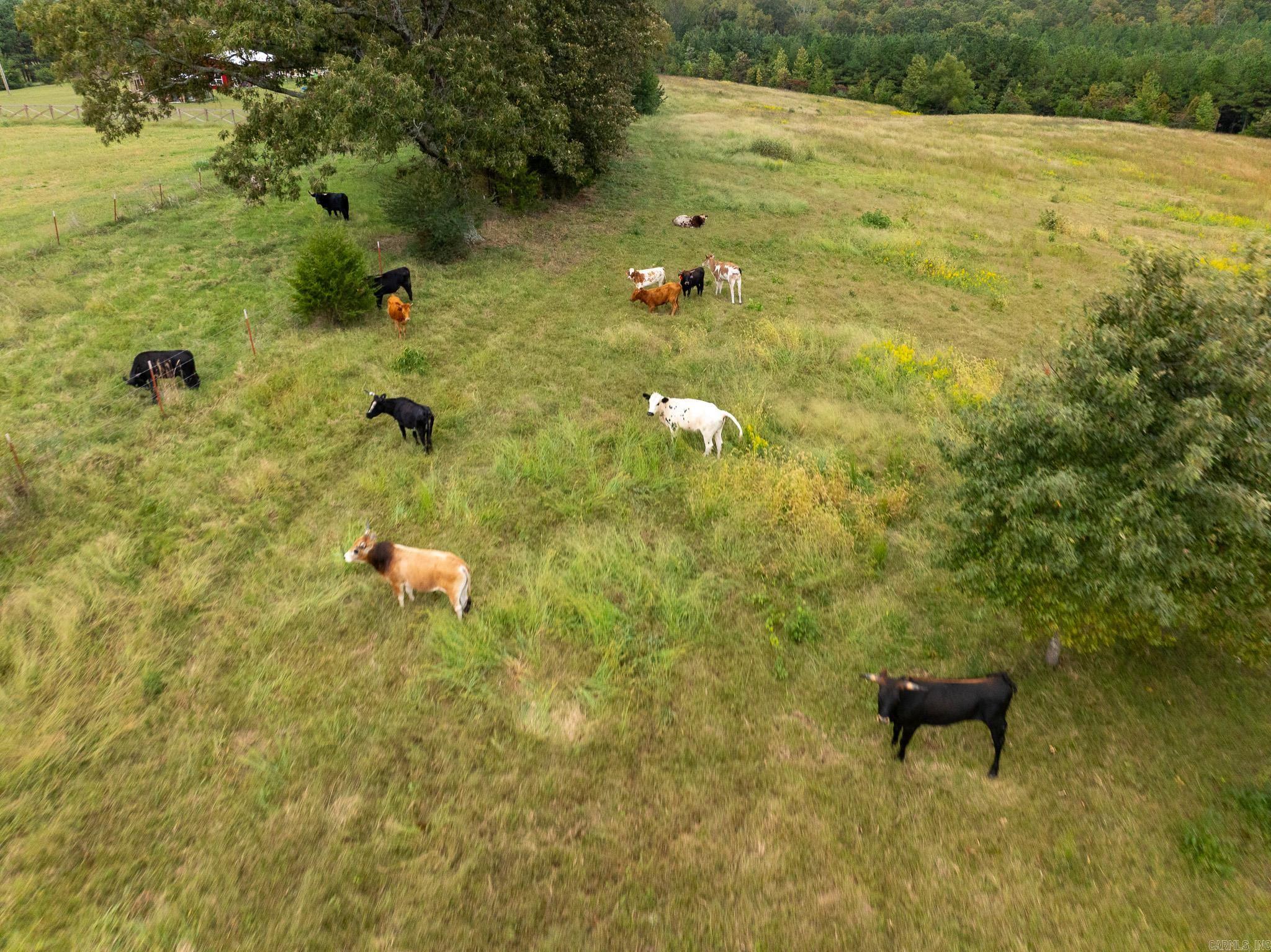 000 Goff Rd. via easement  Quitman, AR