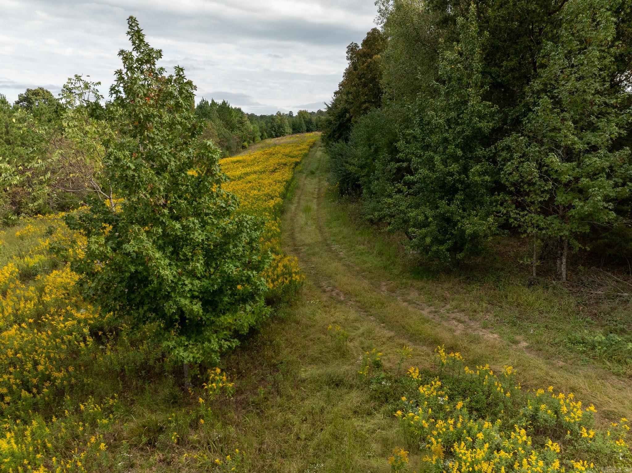 000 Goff Rd. via easement  Quitman, AR