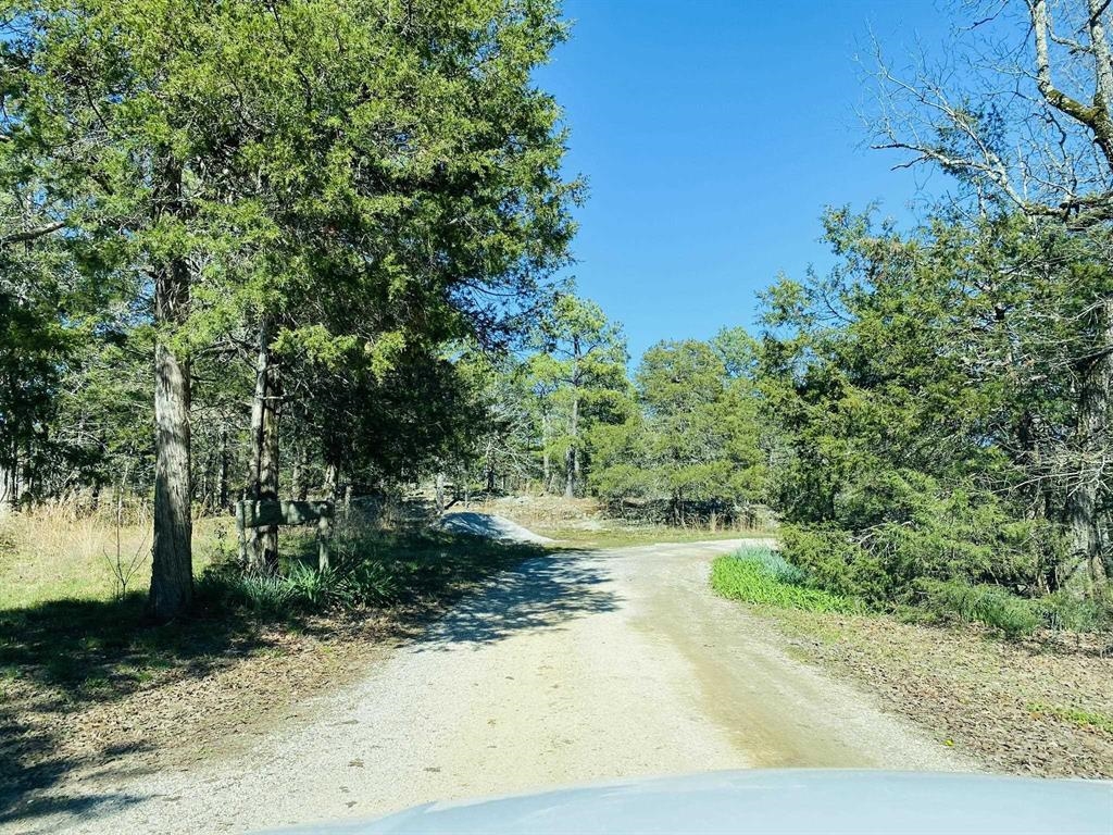 702 Old Dolph Road Calico Rock, AR 72519