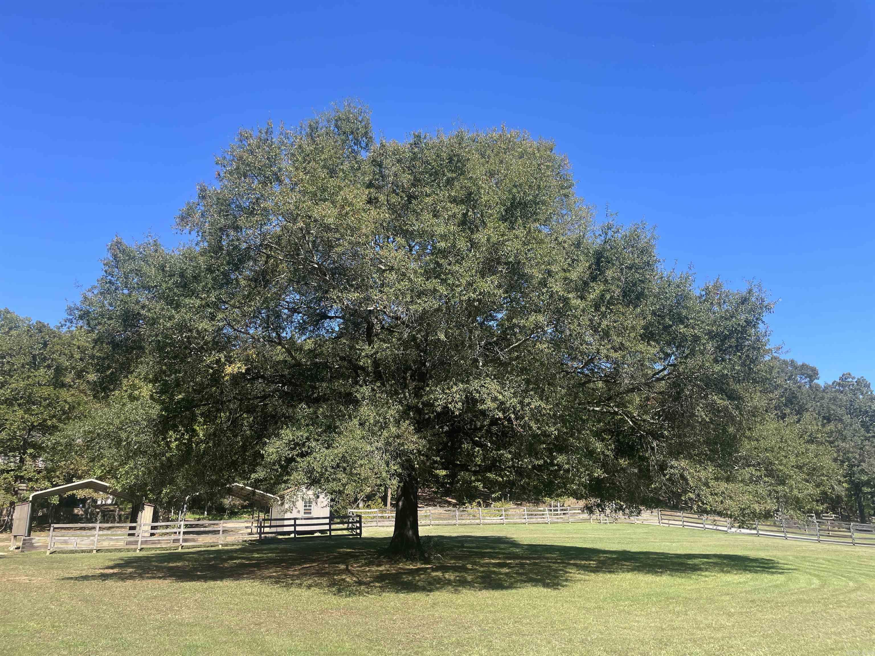 40 Woodruff  Conway, AR