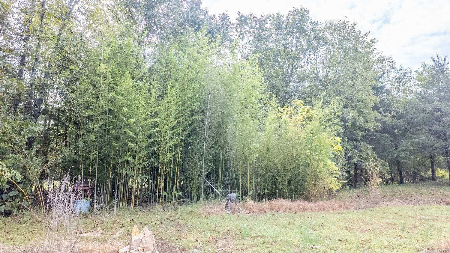 902 Honeytree Lane Camp, AR 72520