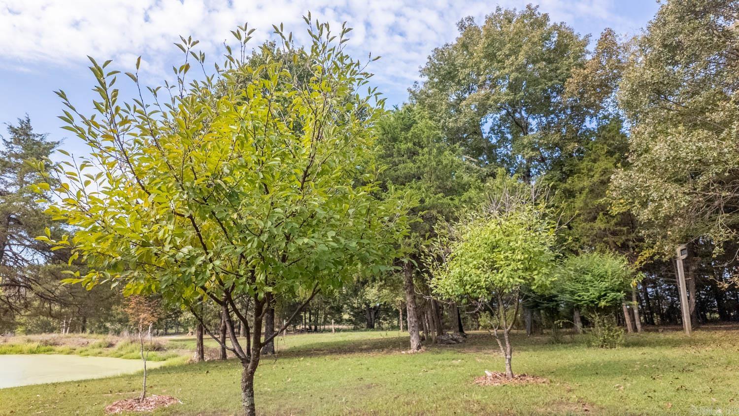 902 Honeytree Lane Camp, AR 72520