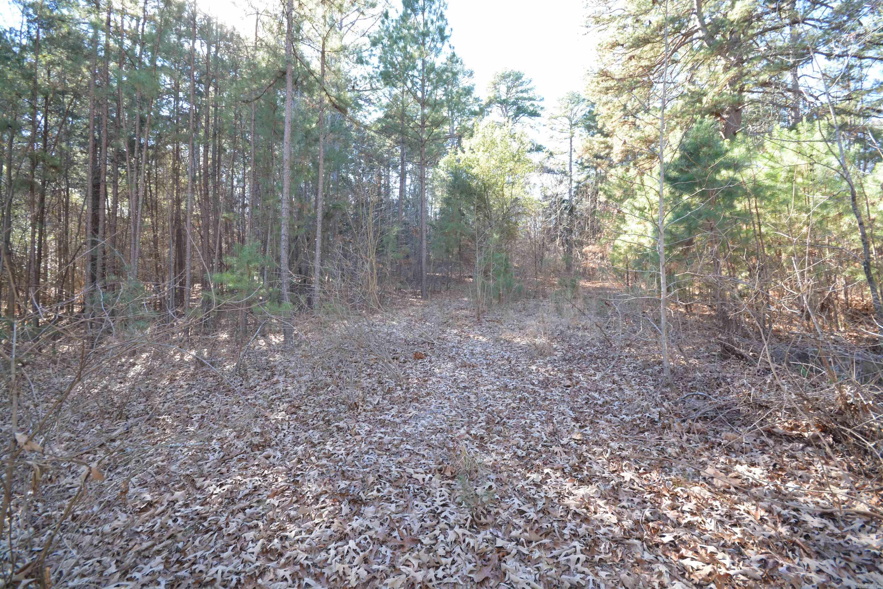  Studer  Little Rock, AR