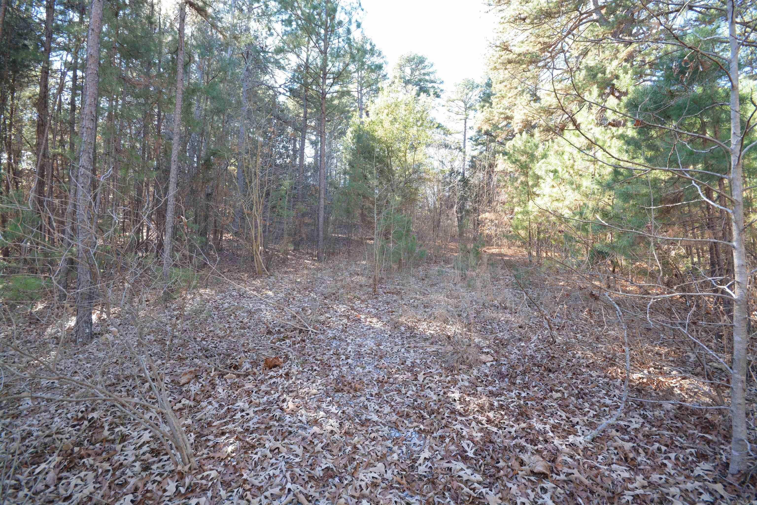  Studer  Little Rock, AR