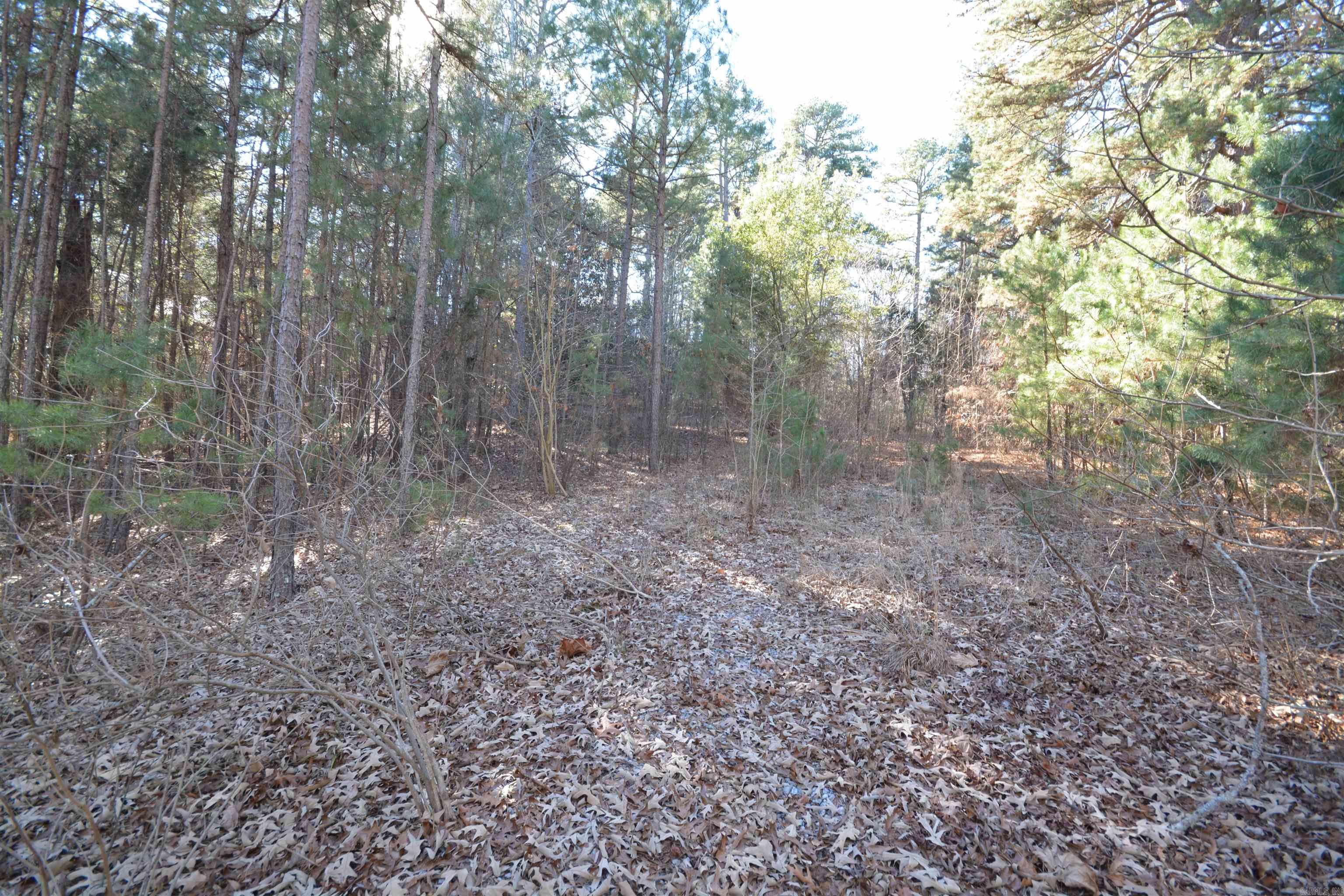  Studer  Little Rock, AR