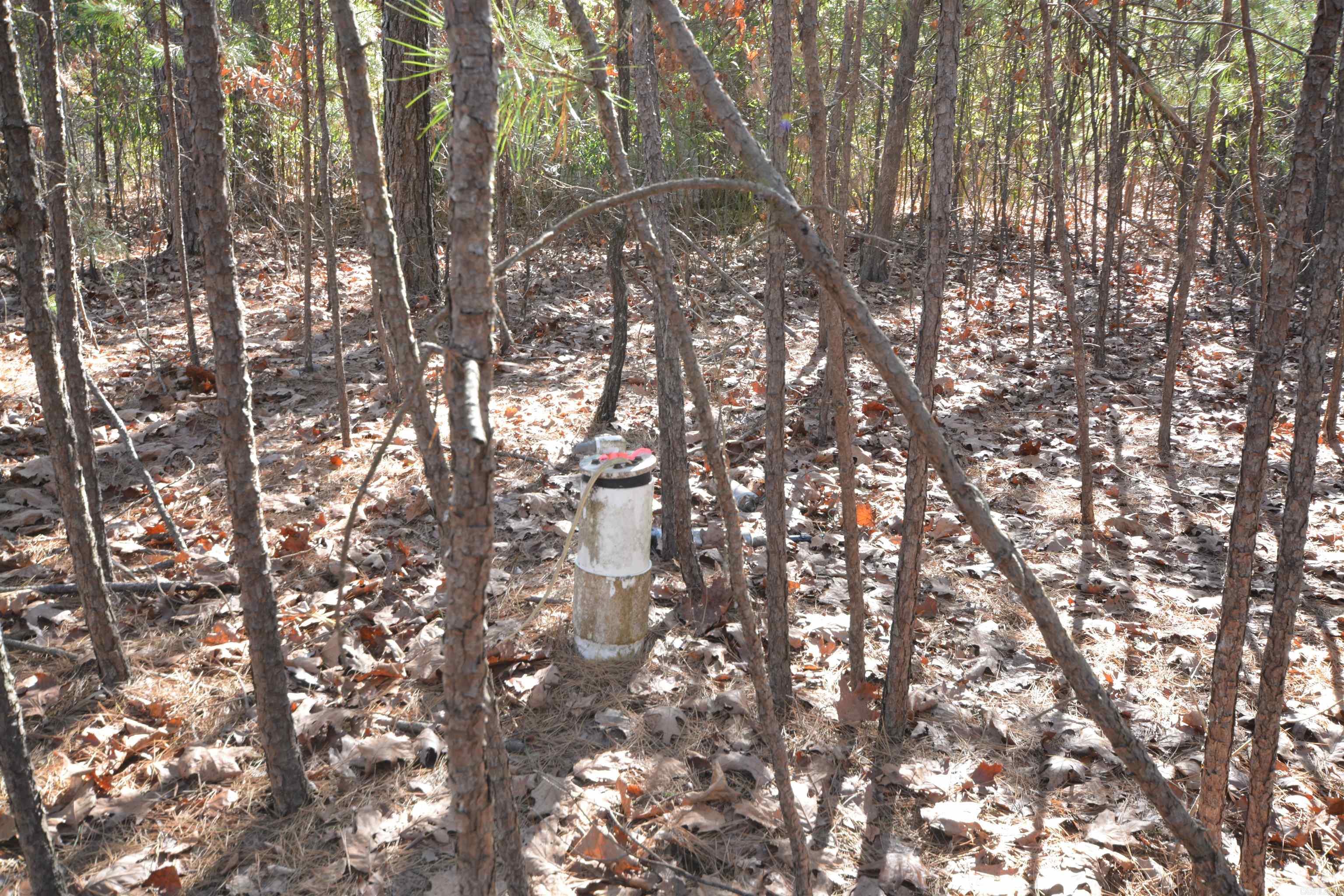  Studer  Little Rock, AR