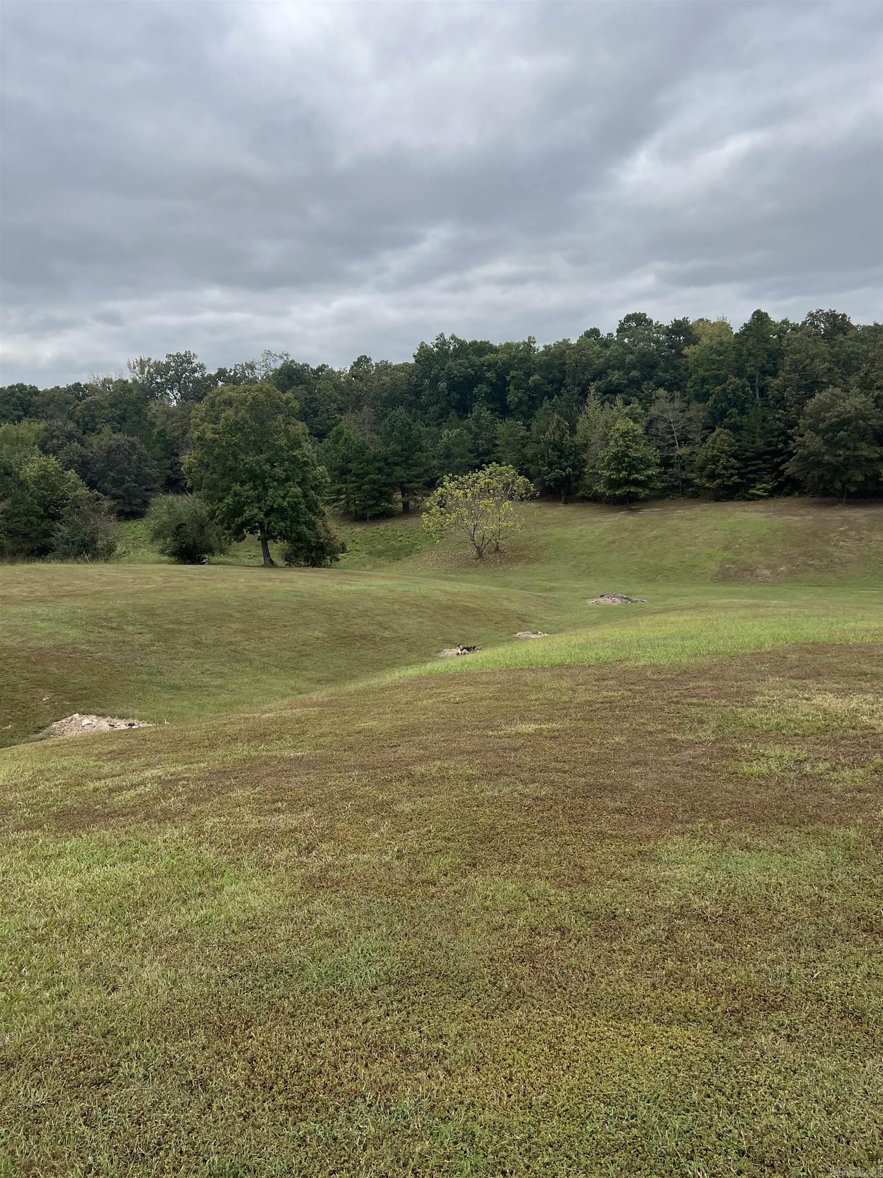 912 Ebenezer road  Amity, AR