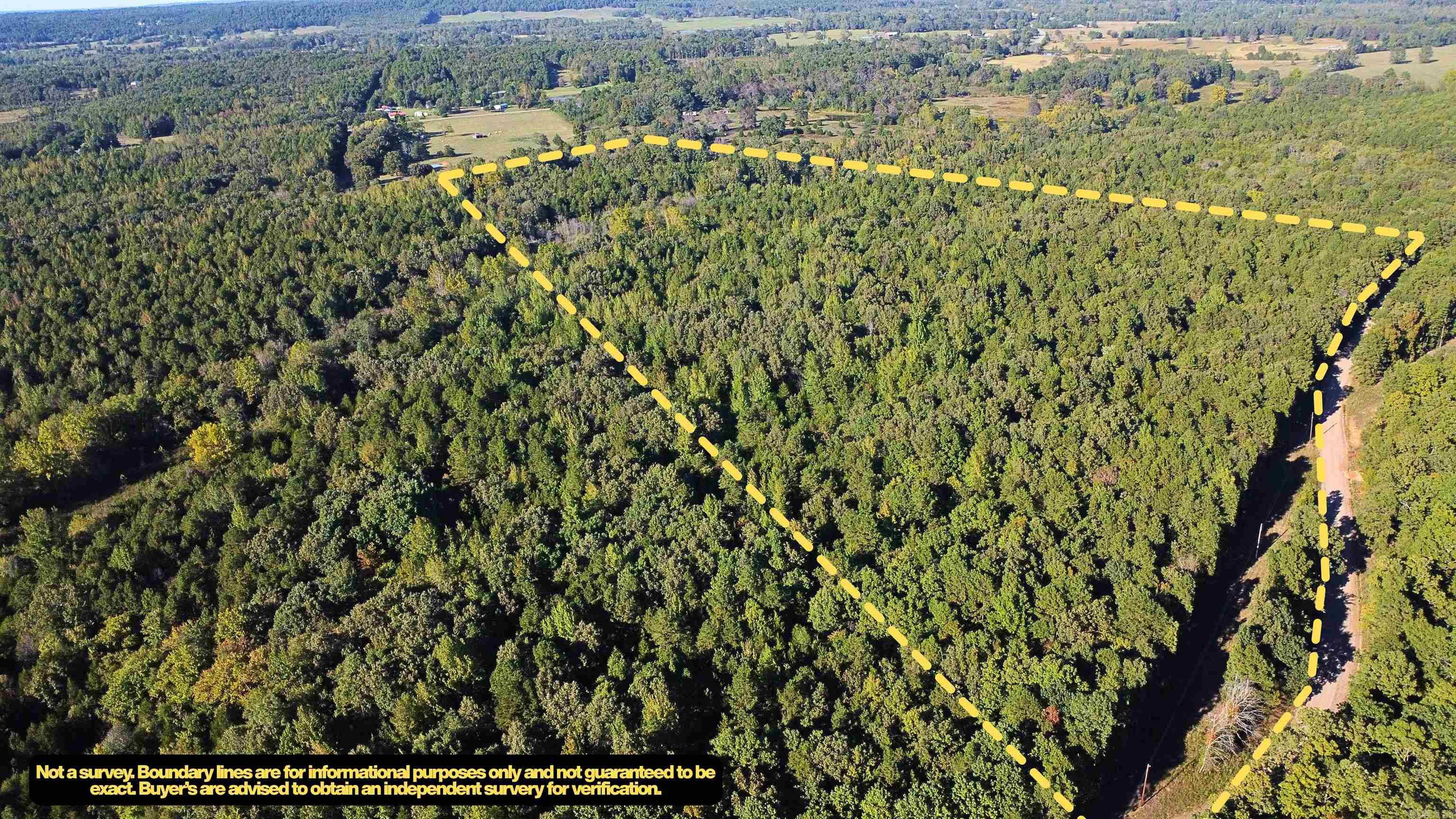 51 Shelton Rd.  Bee Branch, AR