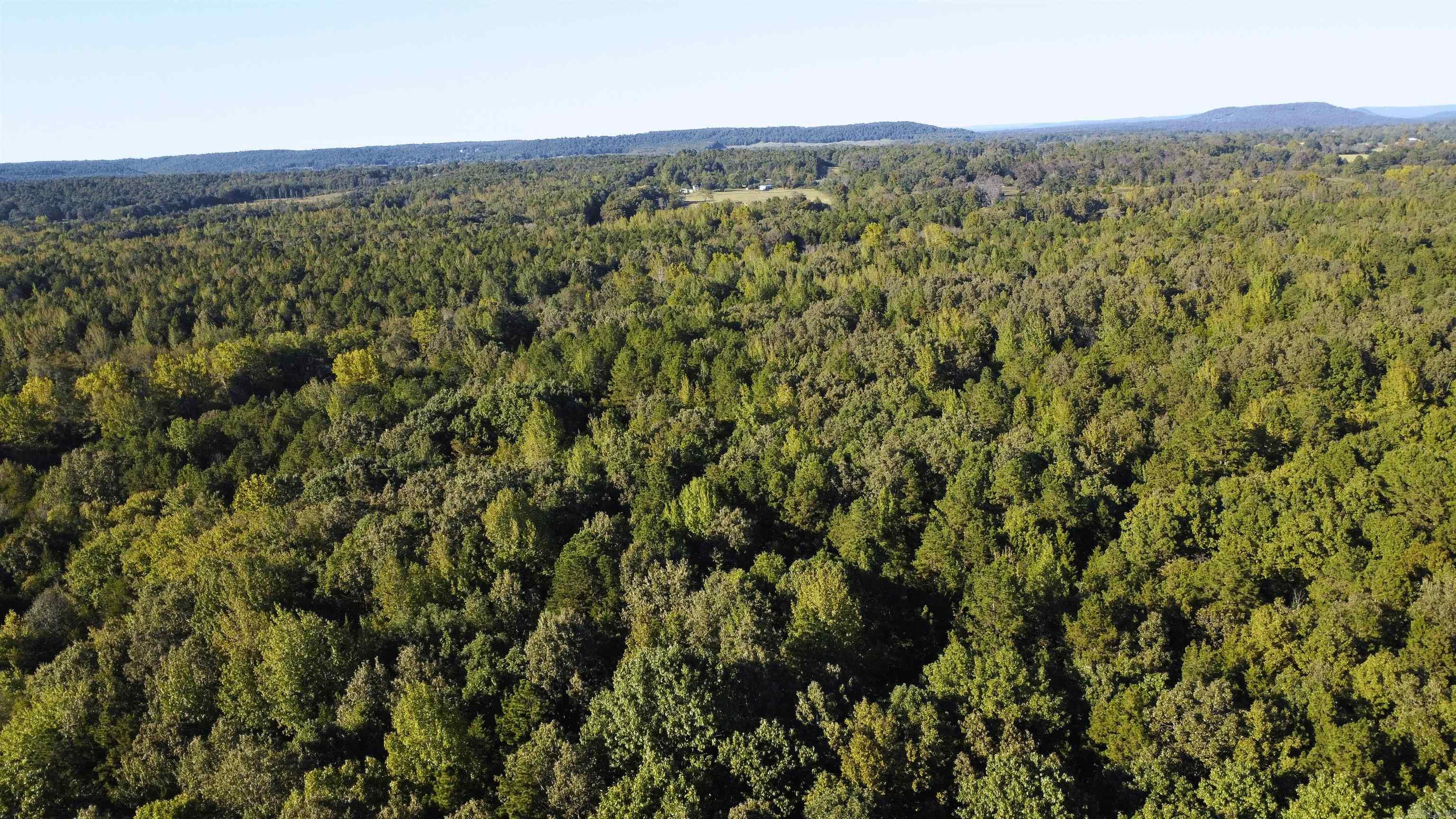 51 Shelton Rd.  Bee Branch, AR