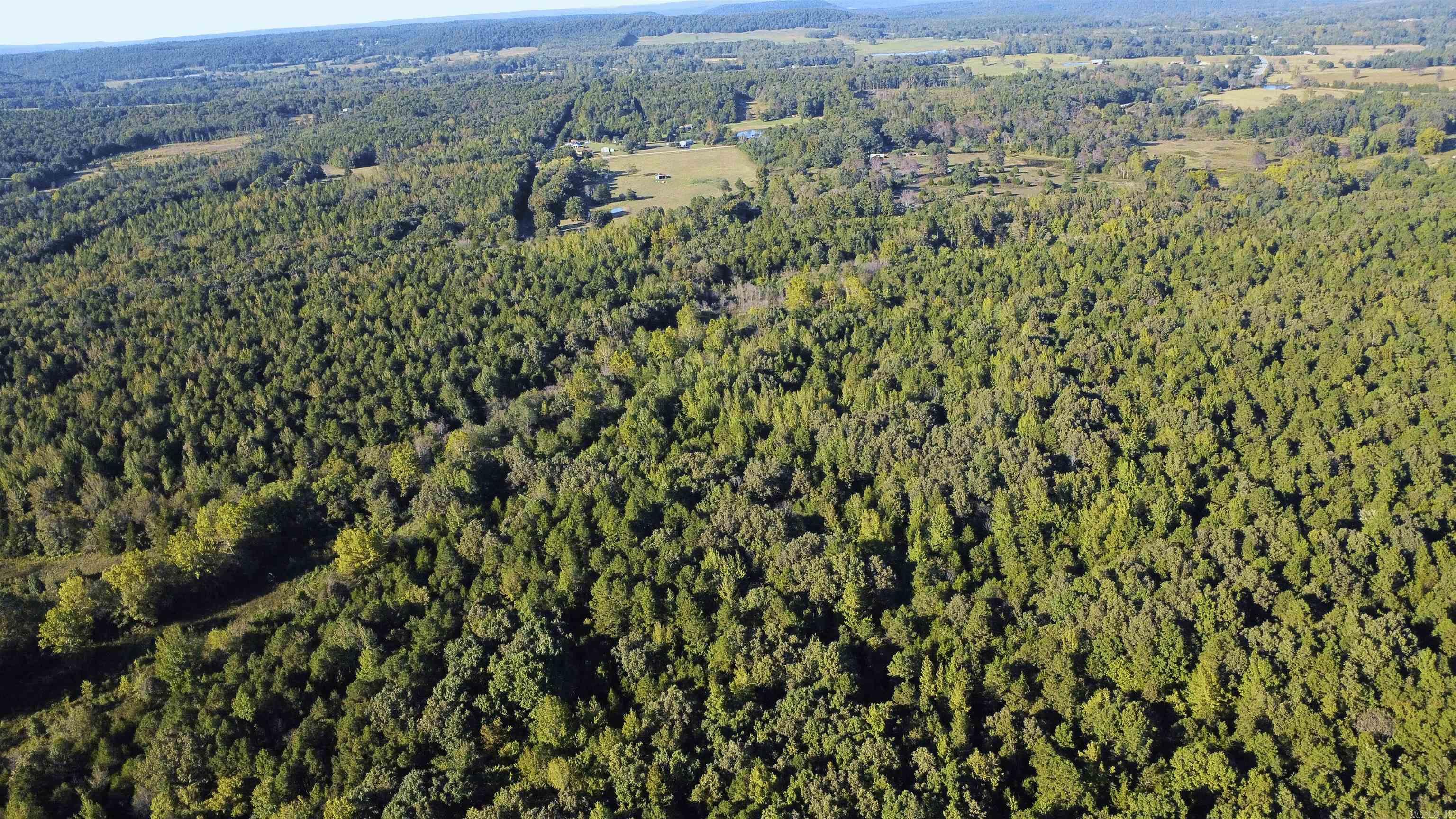 51 Shelton Rd.  Bee Branch, AR