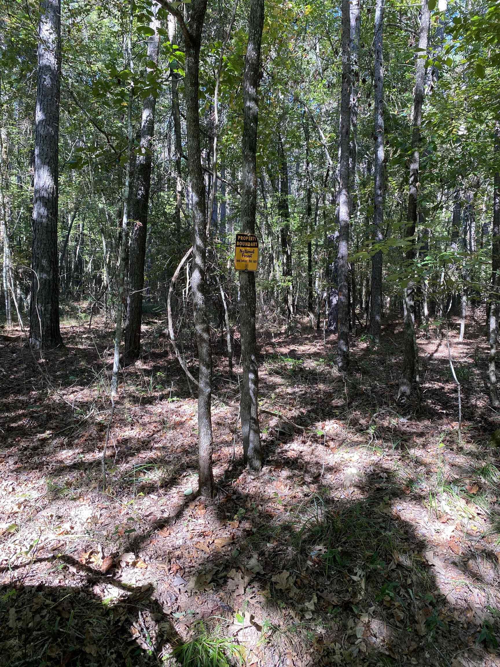 110 Hummingbird Lane  Hatfield, AR