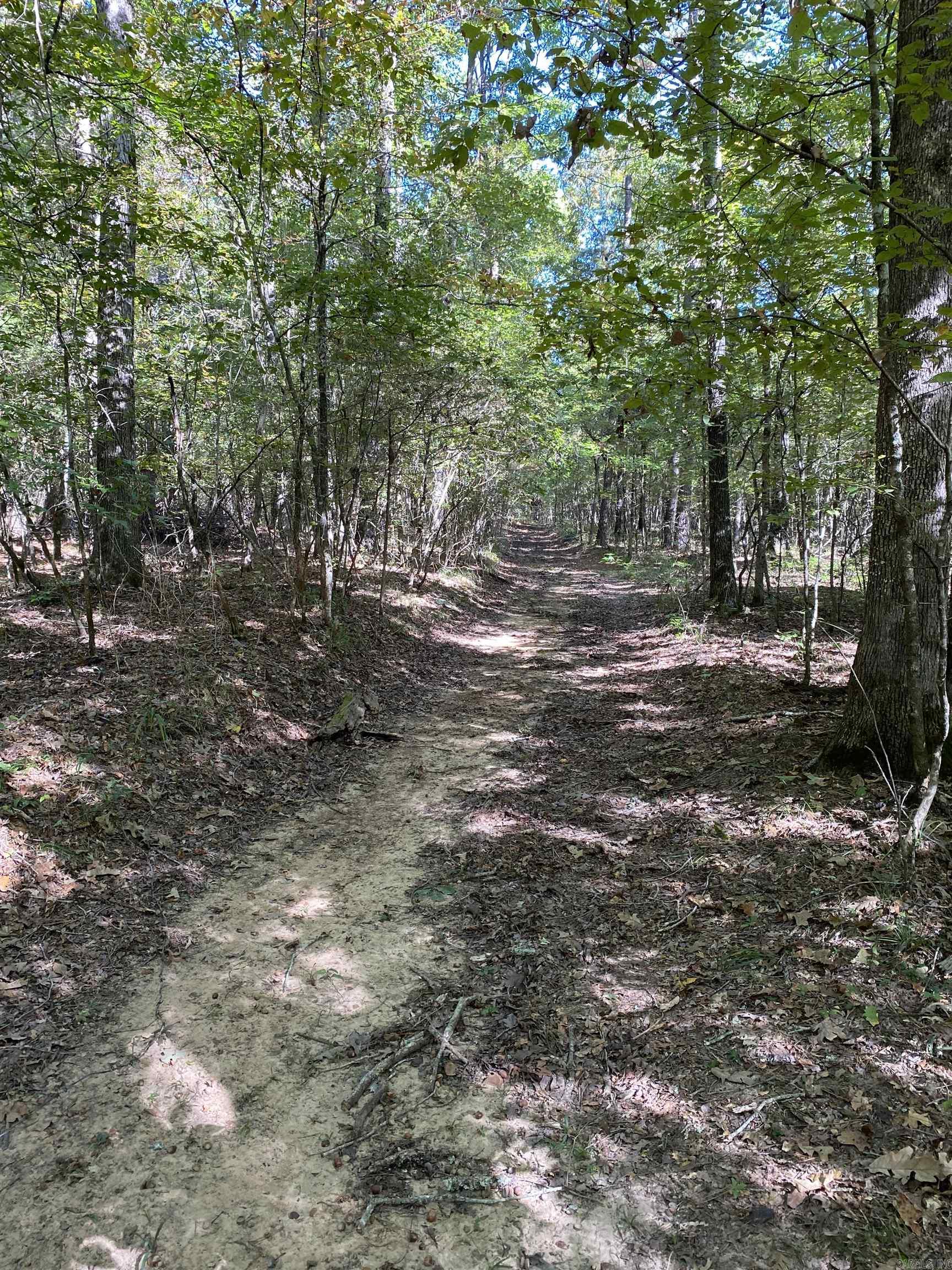 110 Hummingbird Lane  Hatfield, AR