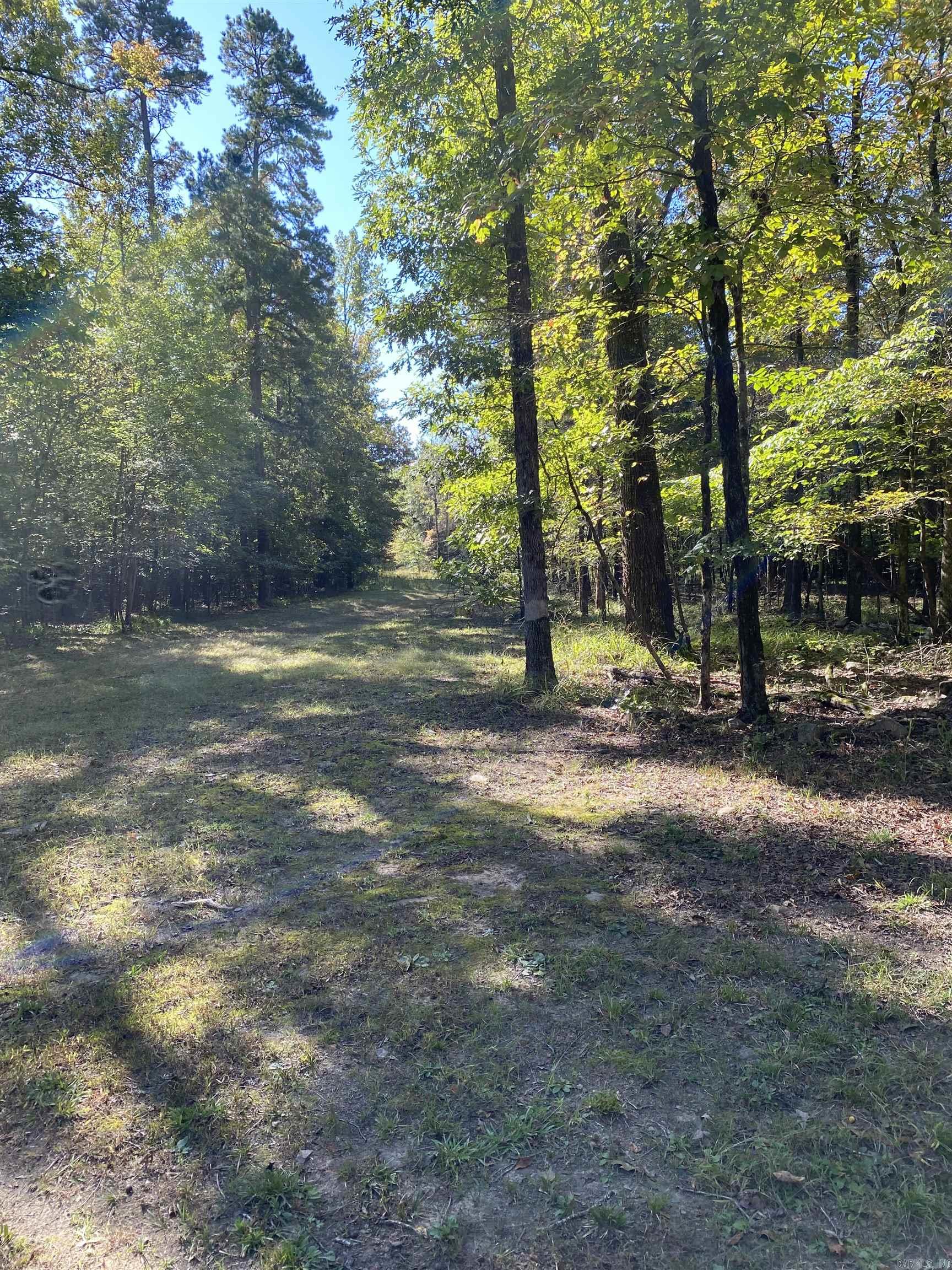 110 Hummingbird Lane  Hatfield, AR