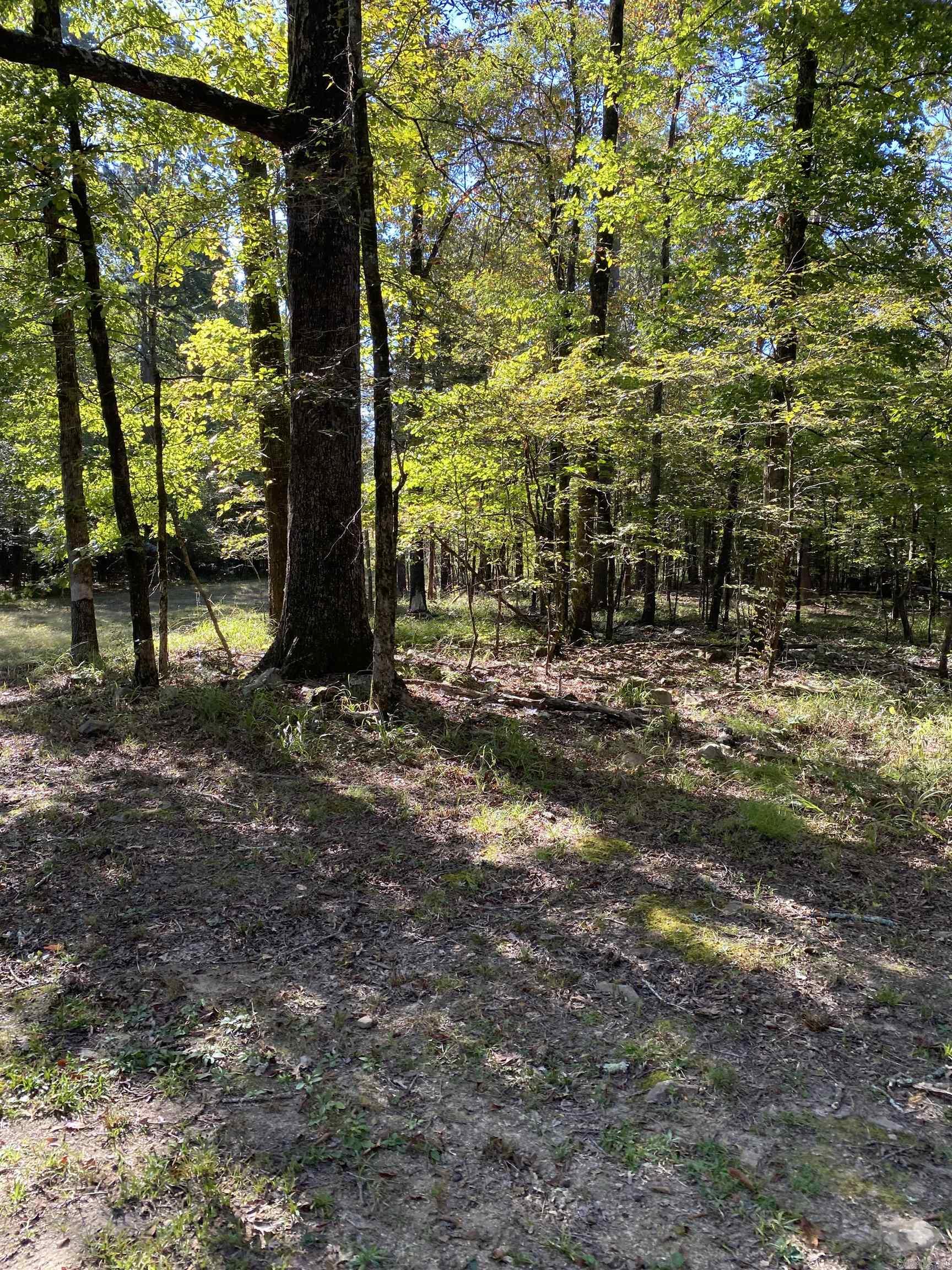 110 Hummingbird Lane  Hatfield, AR